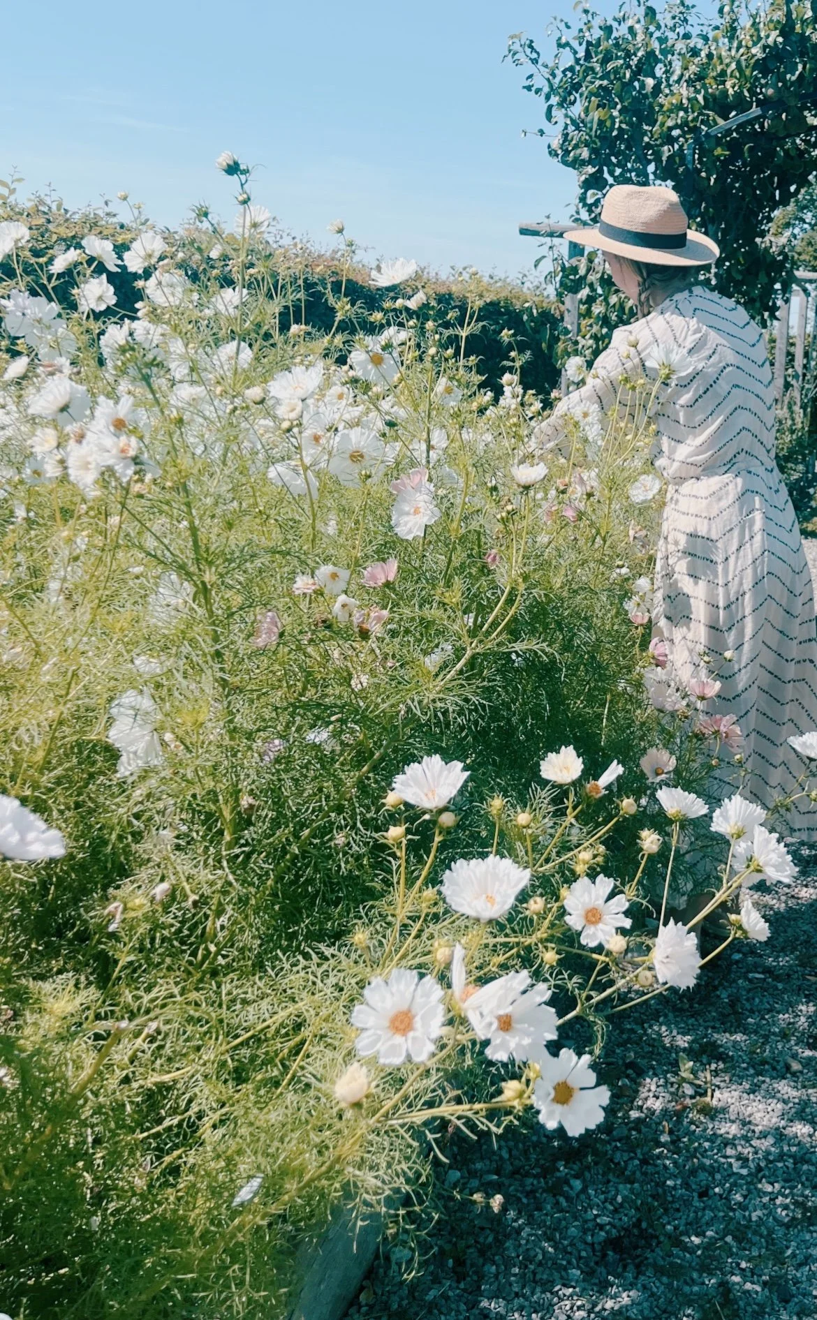 Grow, Nourish & Create x Pitfield Barn, Sunday 21st June, 10.00am-1.00pm