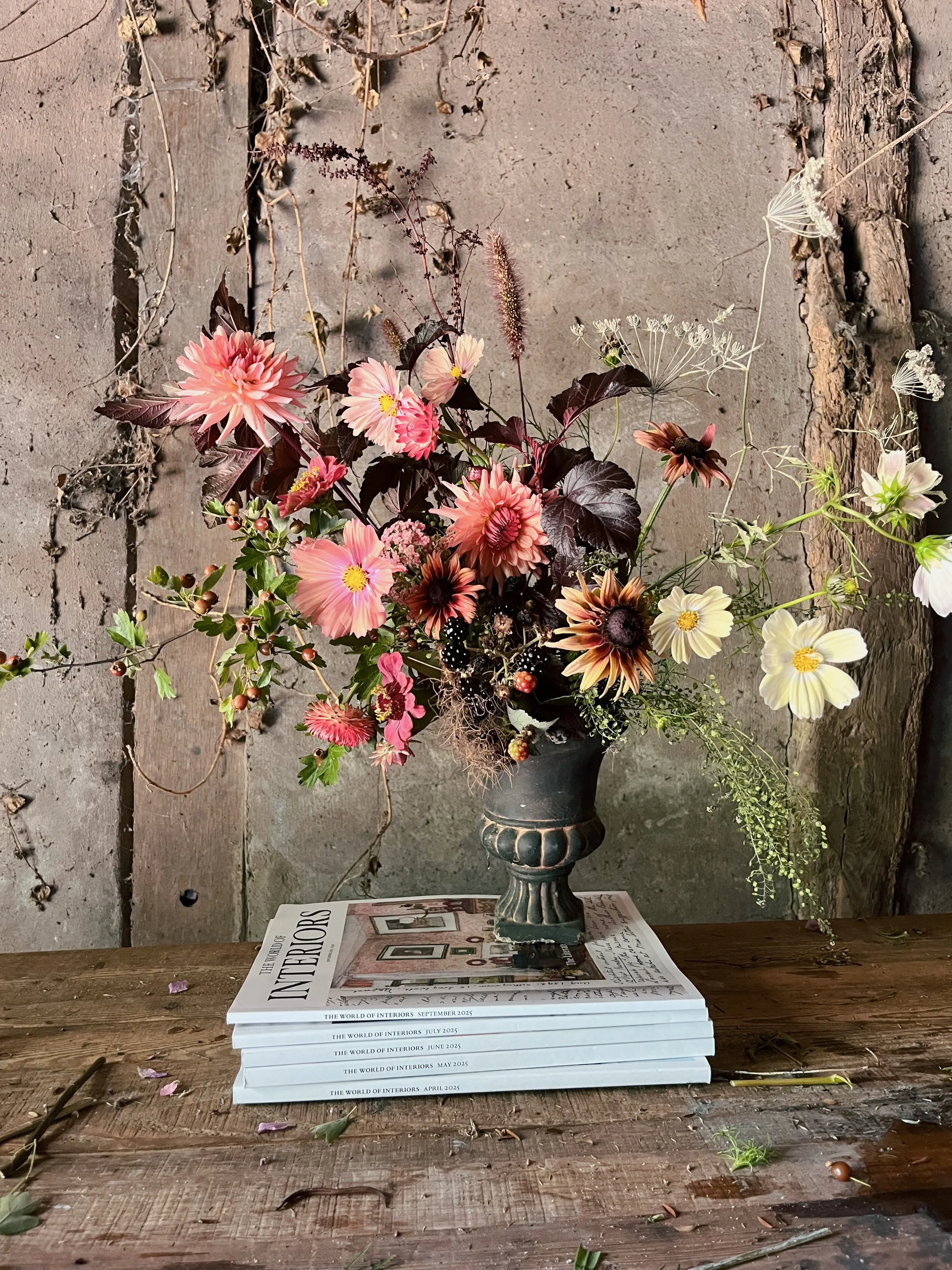 Autumn Free Open Morning: Monday 7th September, 10.00am-11.30am