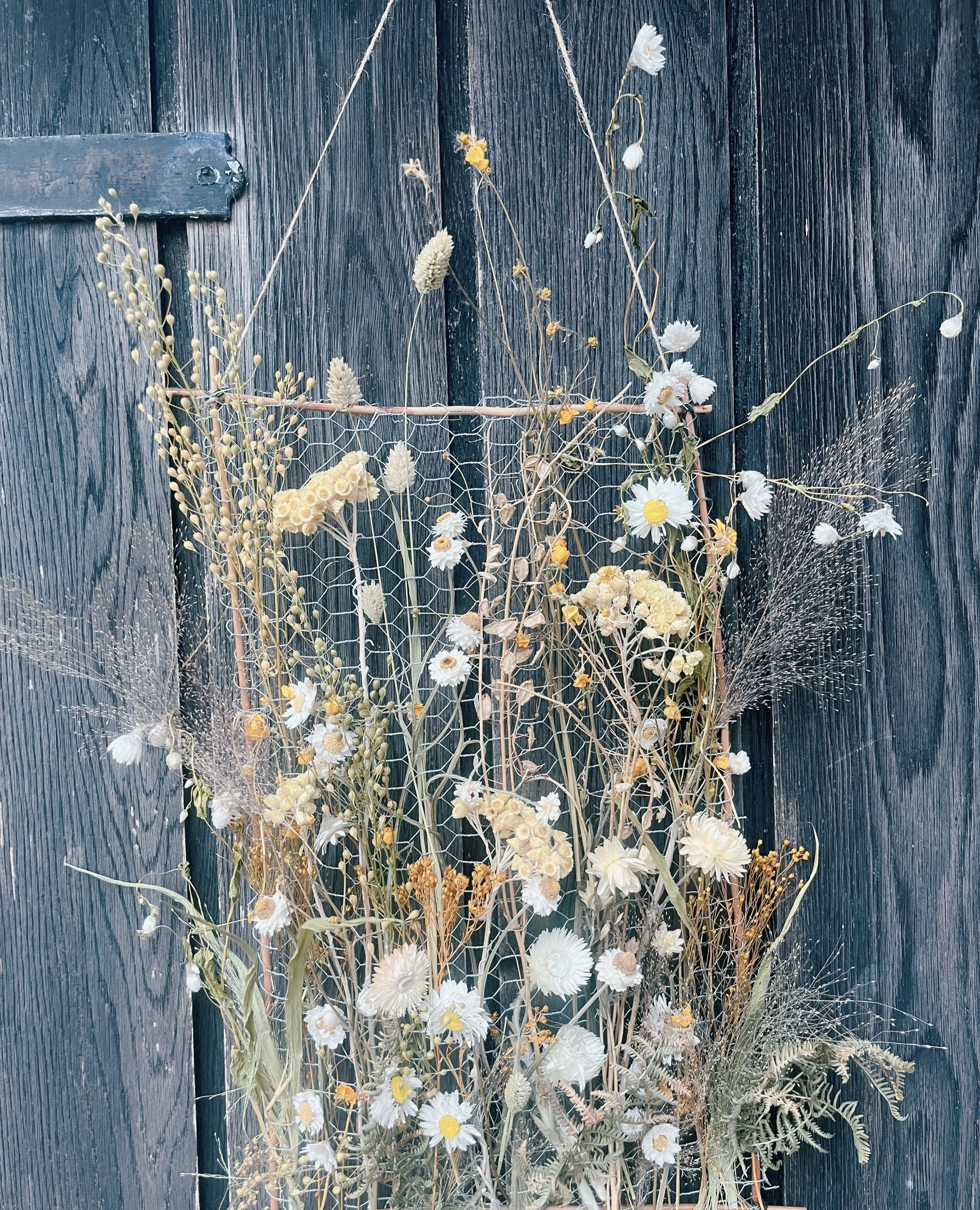 ISIMG-1100543.jpg (Copy)