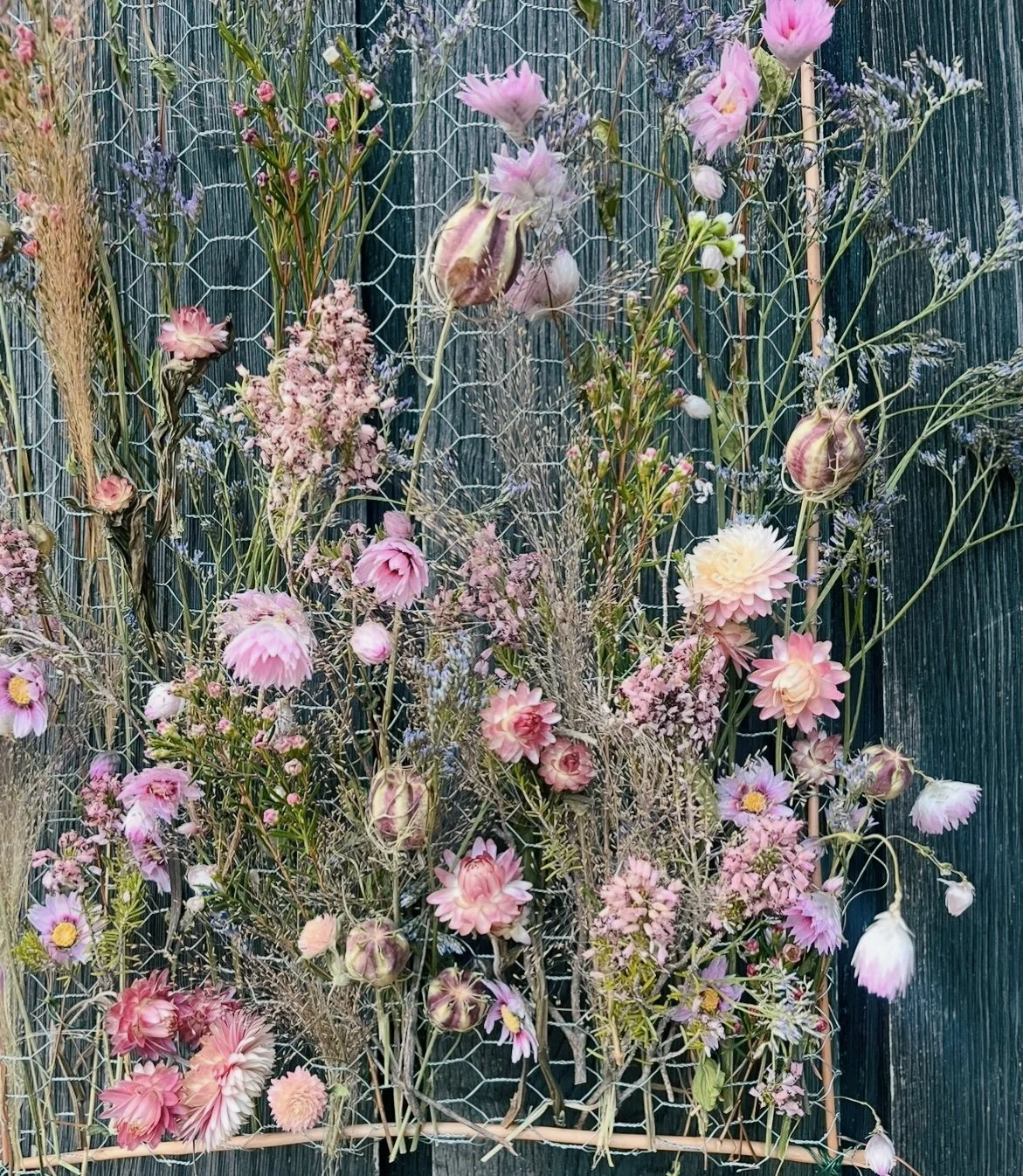 ISIMG-1099246.JPG (Copy)