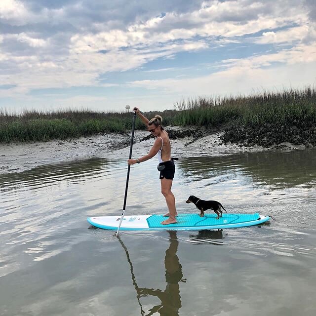 Exercise and social distancing all in one. Curbside service and delivery  available for kayak and stand up paddle board rentals. #getoutside #vitamind #excercisedaily #supdog