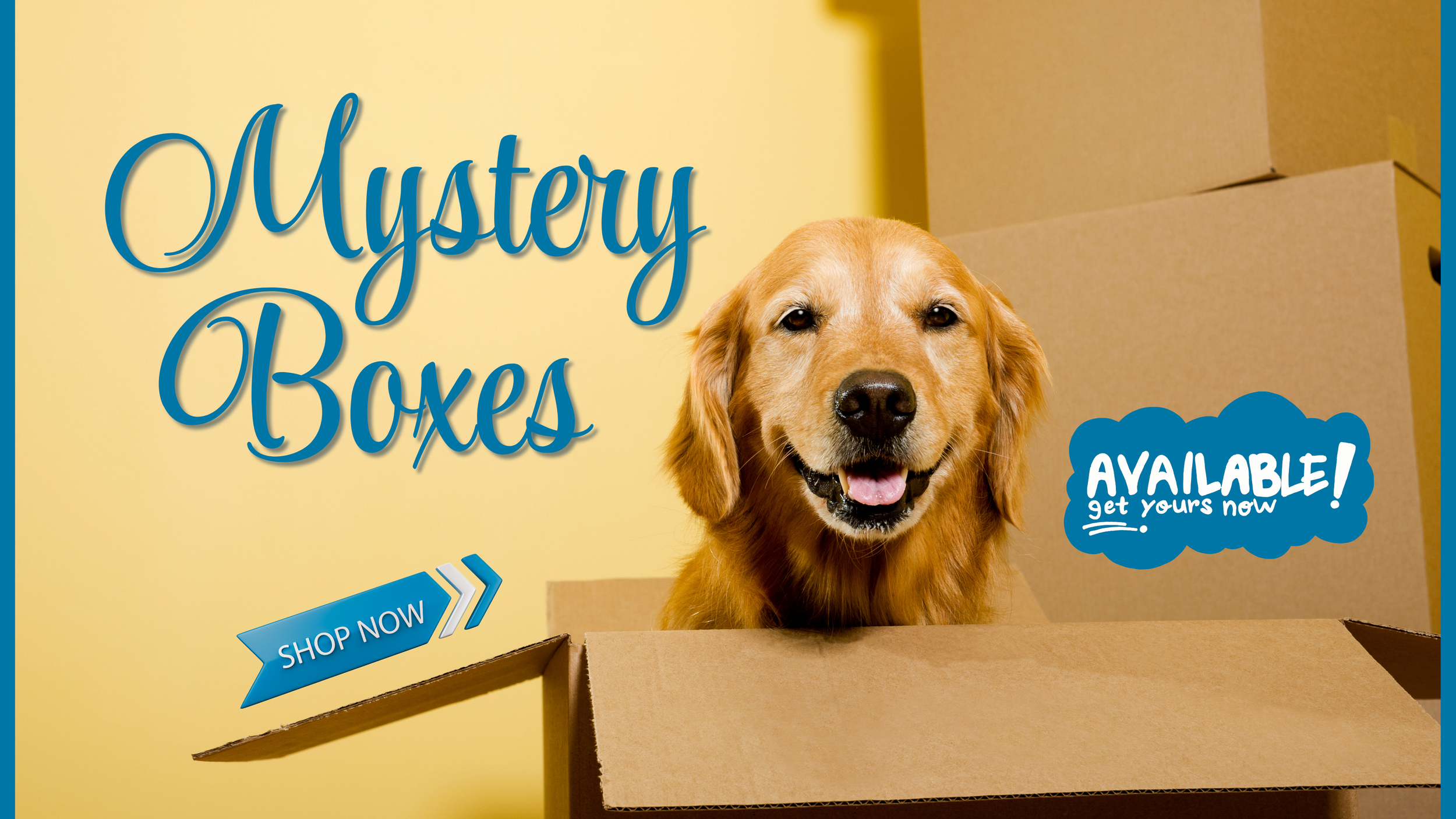 MysteryBox_Webslider_Graphics_Feb26.png