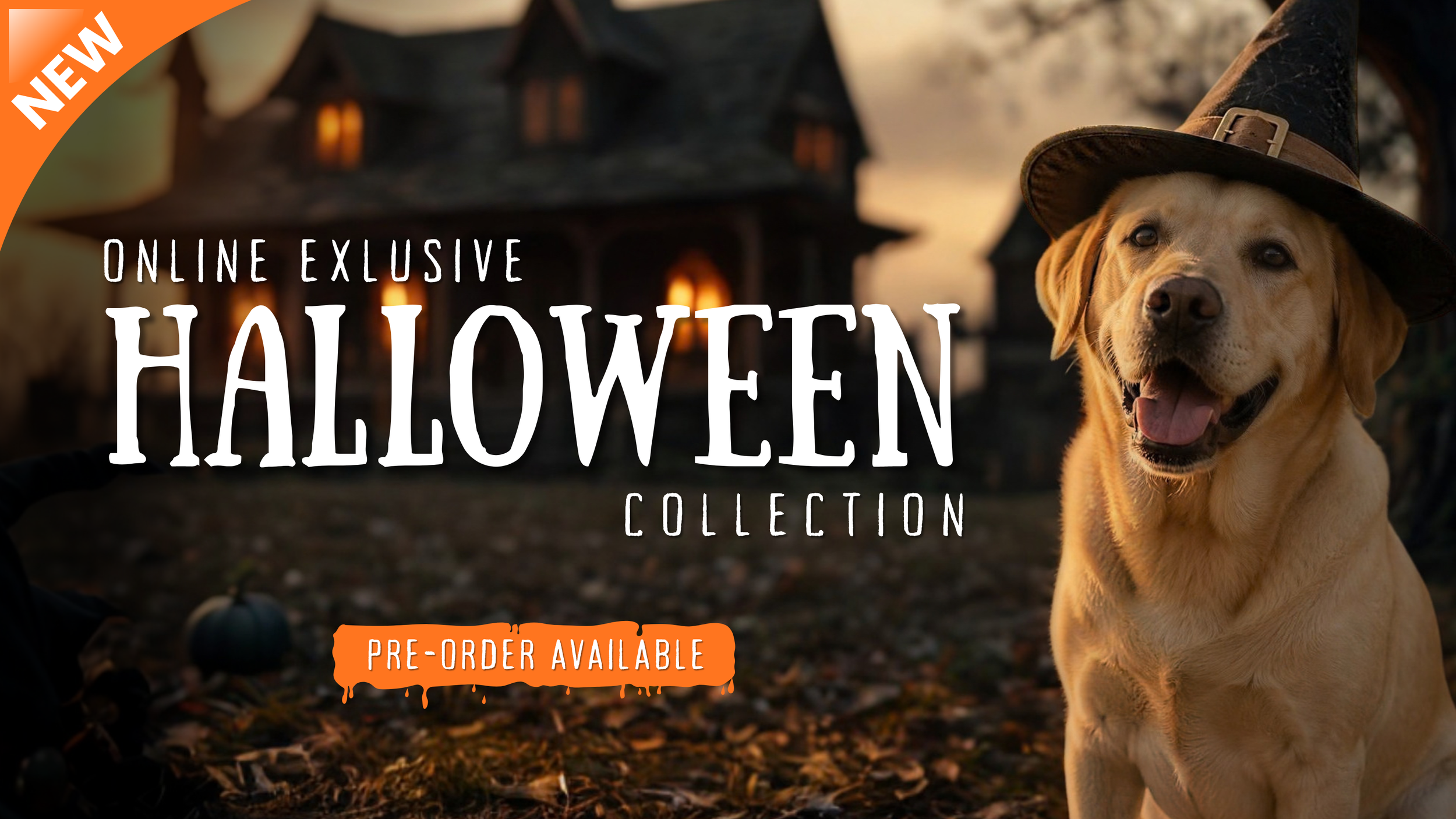 Webslider_Graphics_Oct24 (5).png