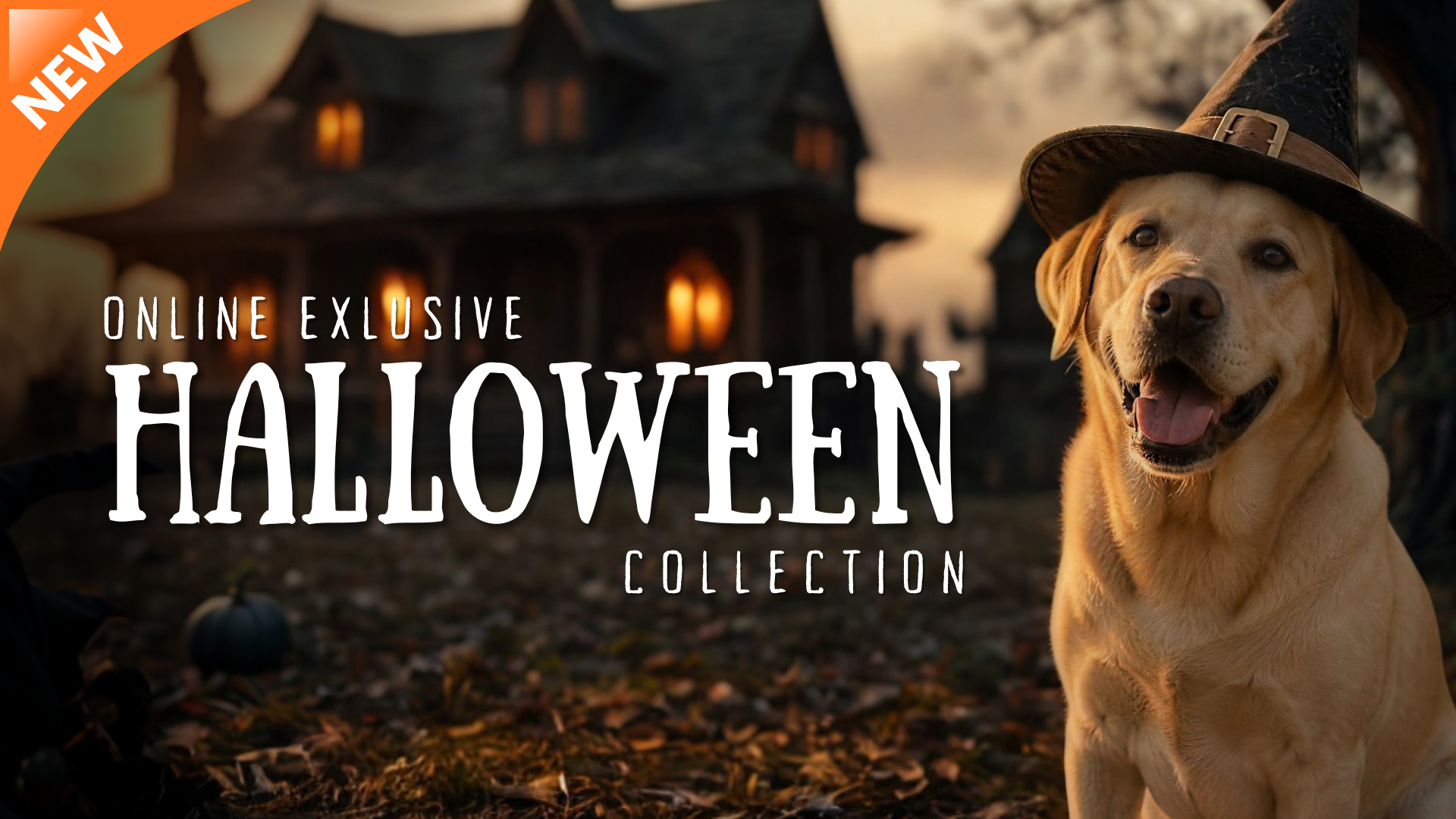 Halloween Collection