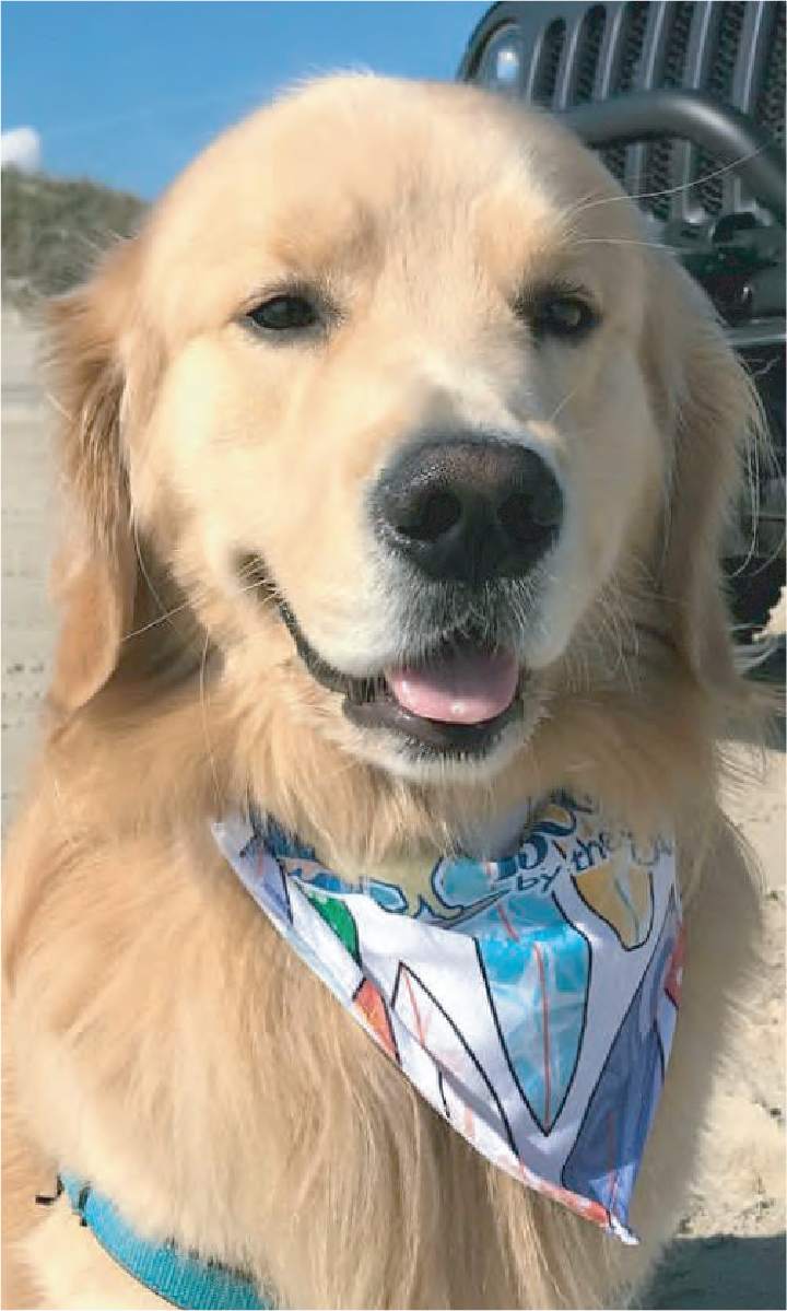 Buddy Surf Boards Bandana (BBS)