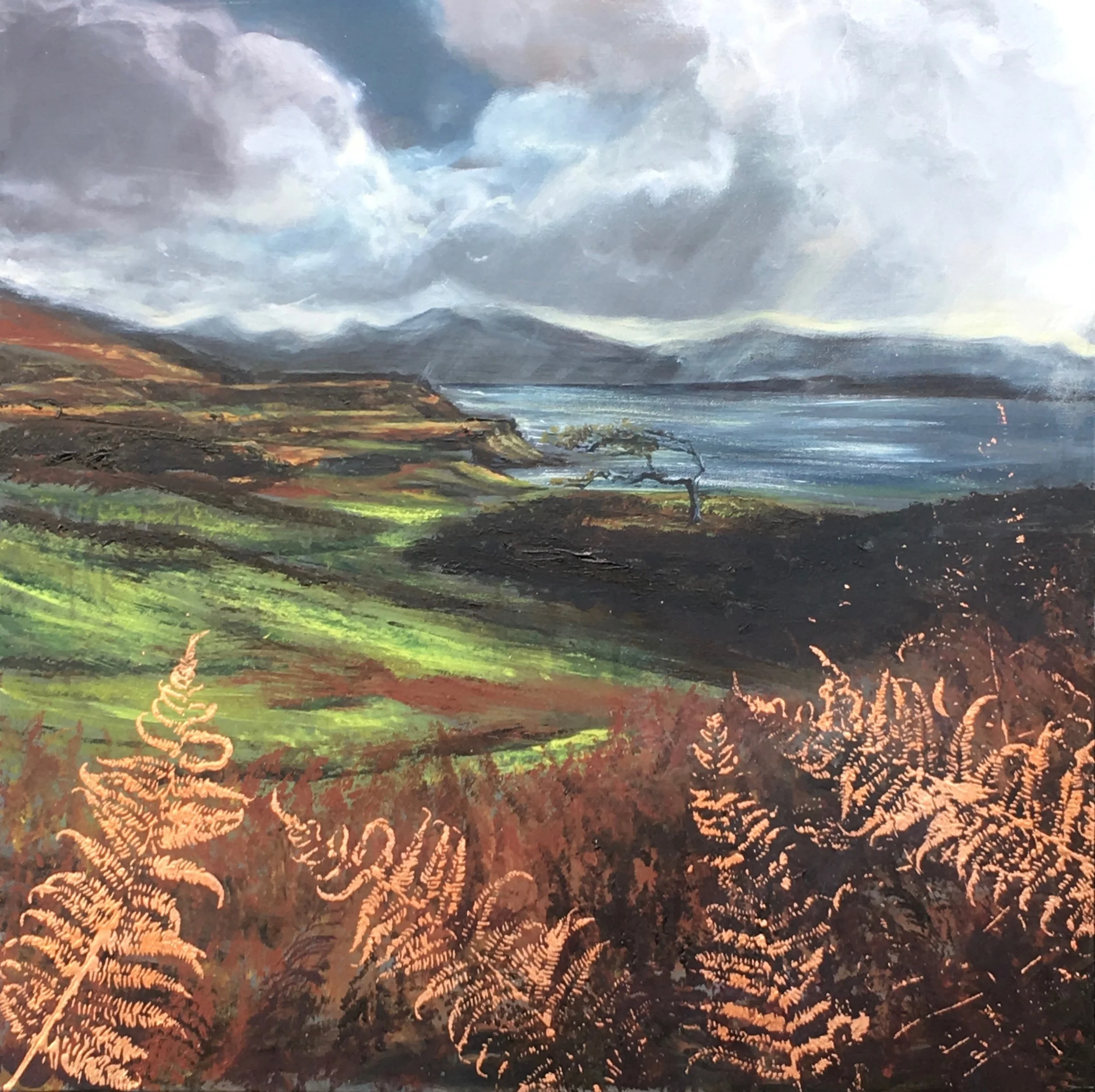 Windswept Tree -Loch Tuath