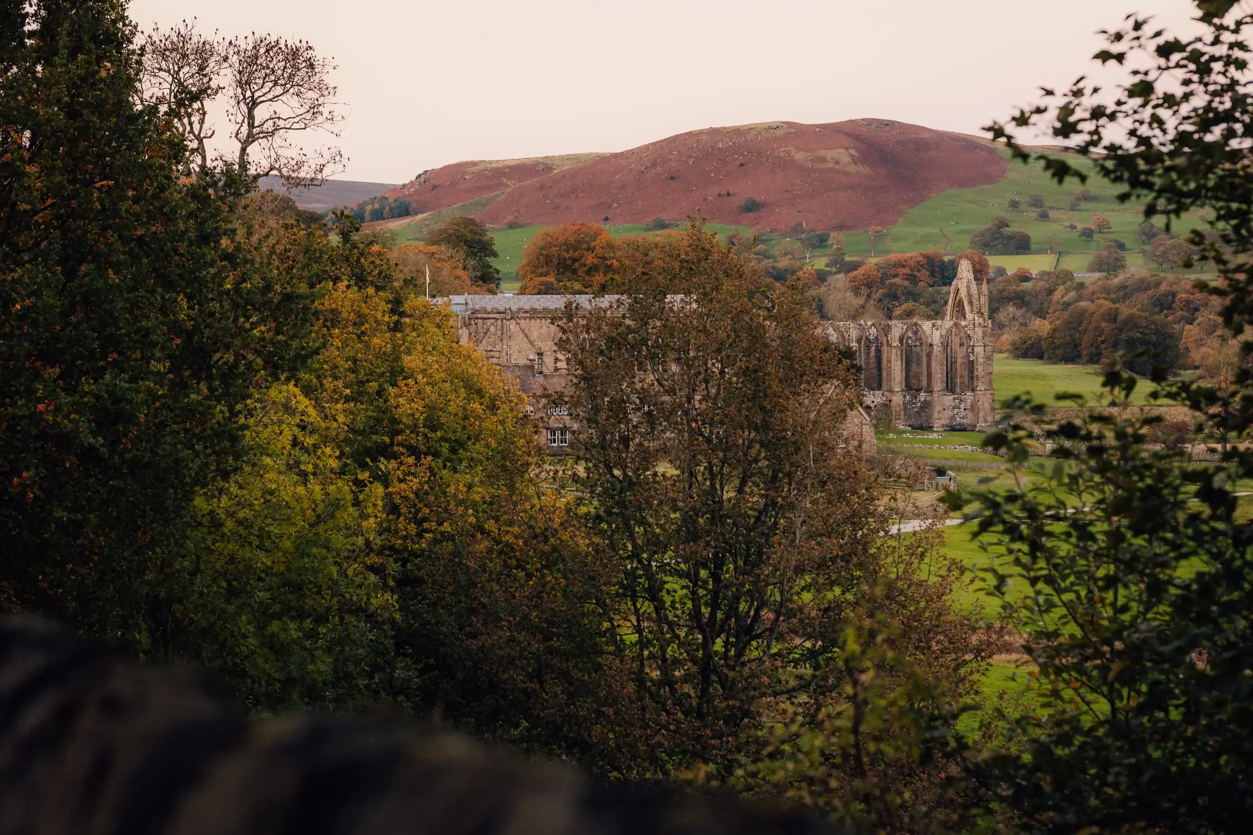 J&J_HIGHLIGHTS_TITHE BARN BOLTON ABBEY_042.webp