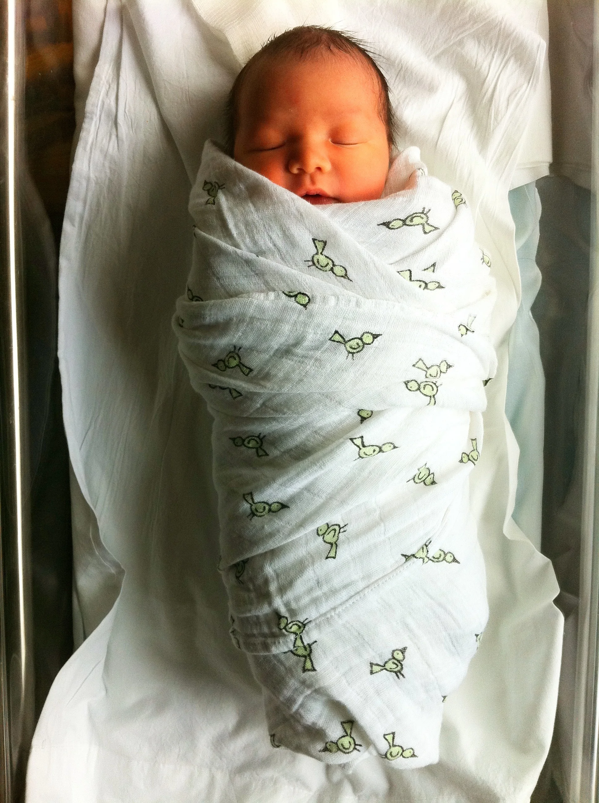 on the third day-2.JPG