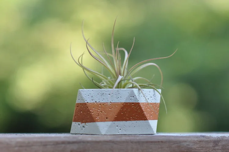 Hexagon with horizontal stripe