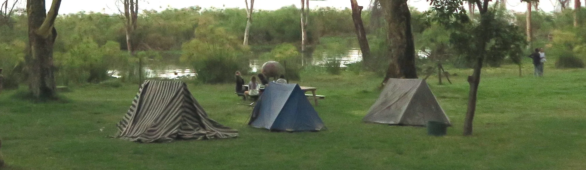 Has anyone seen a Hippo???