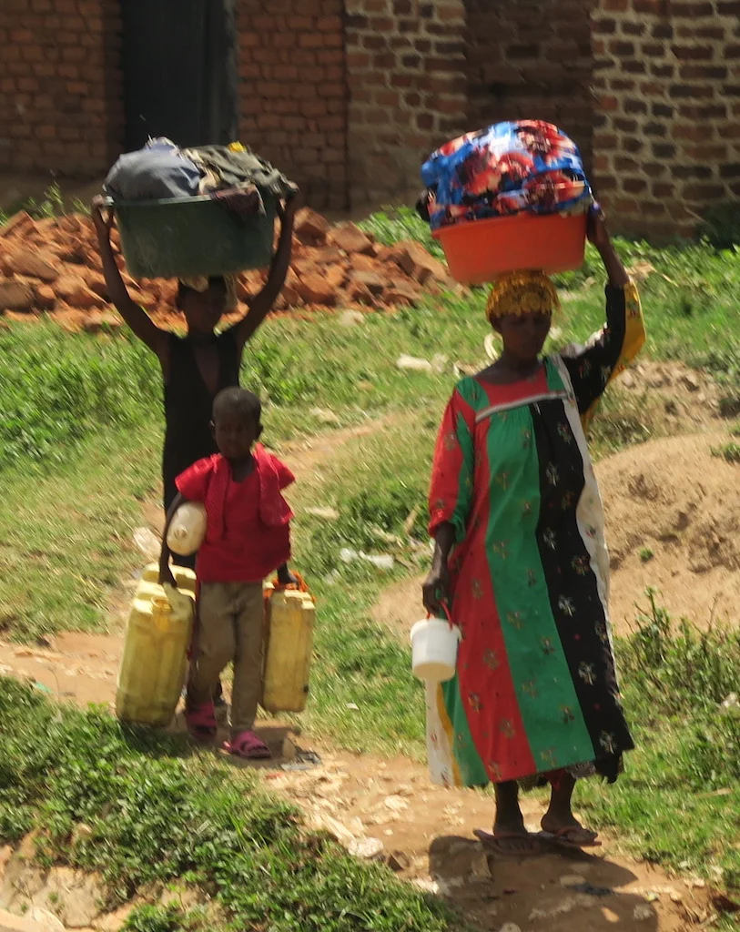 Journey to the Gorillas, Day 3 to 7