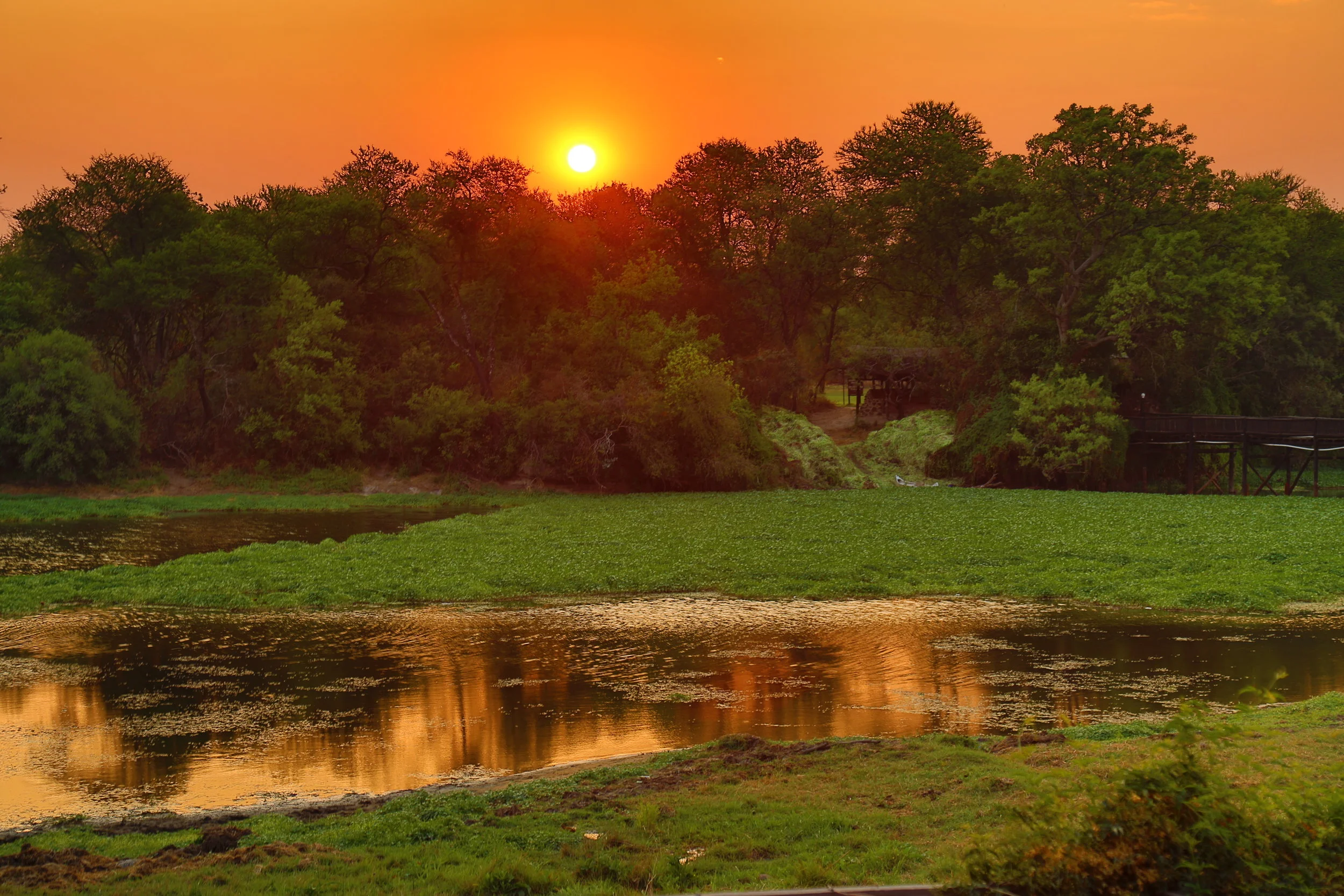 Antelope Park, Zimbabwe