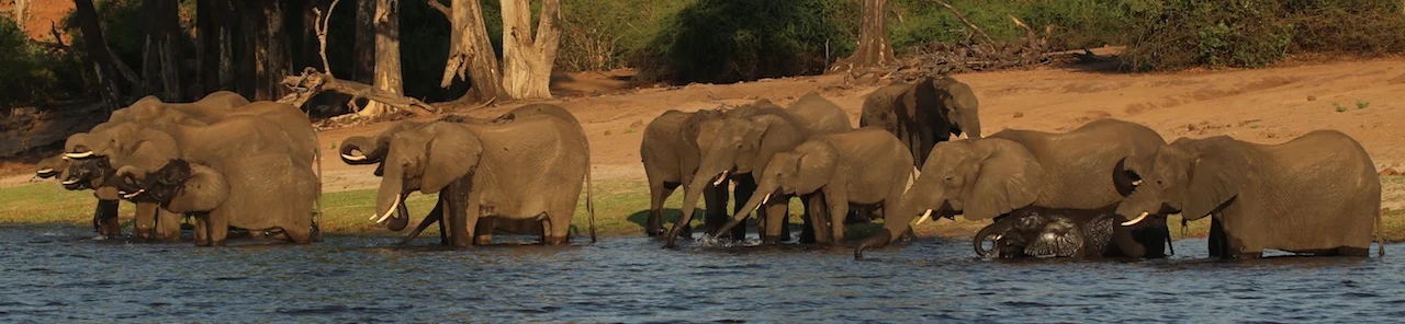 Hello Botswana!!!