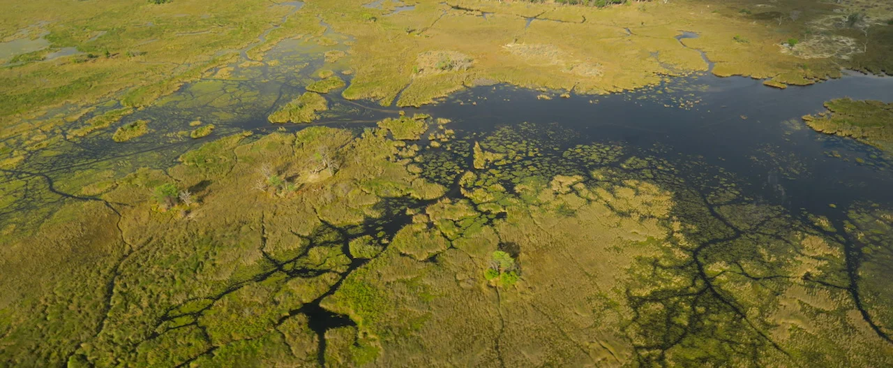 Maun & Okavango Delta Scenic Flight