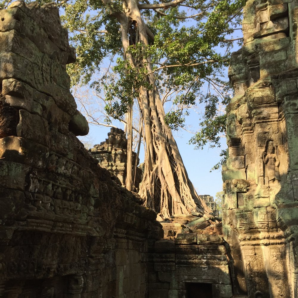 Ta Prohm tomb raider temple