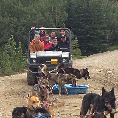 Dog Sledding Alaska.jpeg