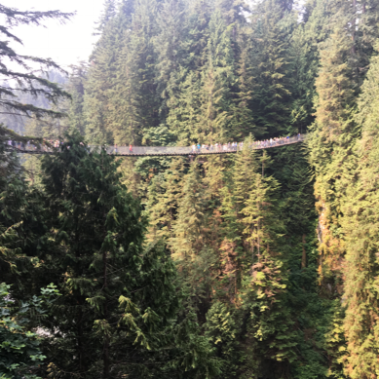 Capilano Suspension Bridge Vancouver.png