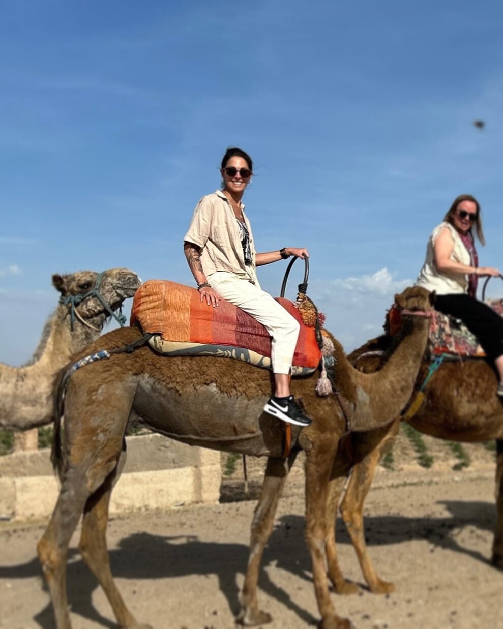 Just back from Morocco and story highlights are up! 🇲🇦 

It was a whirlwind week of beautiful sites, sounds and flavors.  We totally fell in love with Morocco and know you will too! 💕 
#agafaydesert #moroccotravel #northafrica