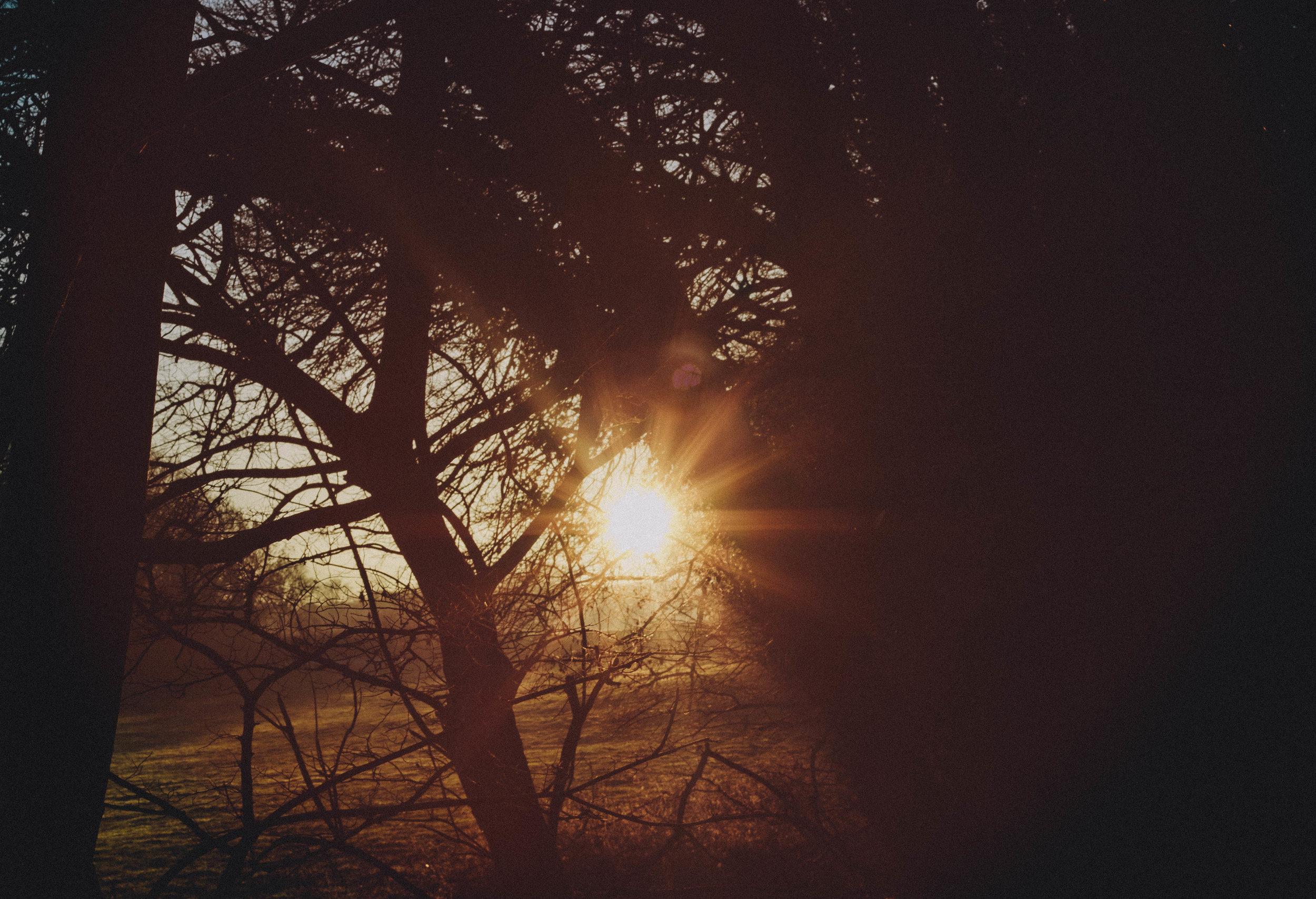 country winter walk sunset.jpg