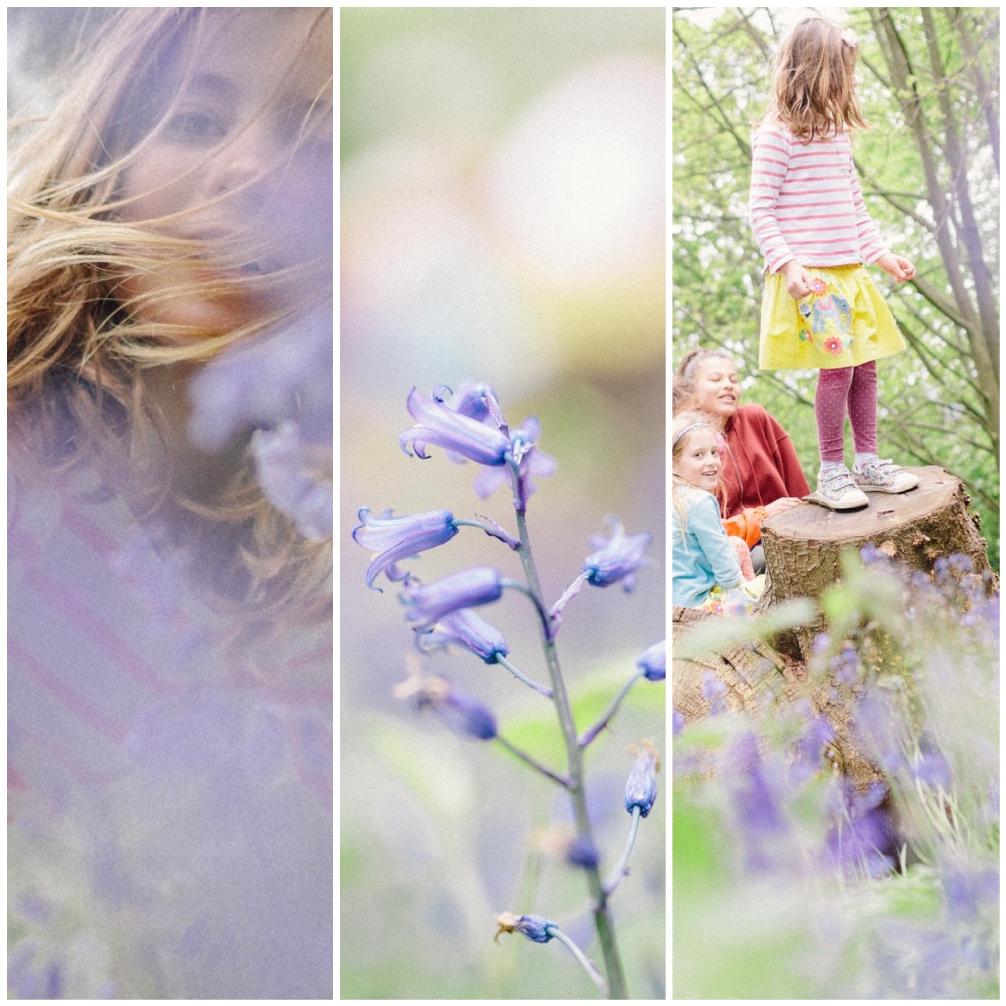 london family photographer kids photos bluebell fields lavender.JPG