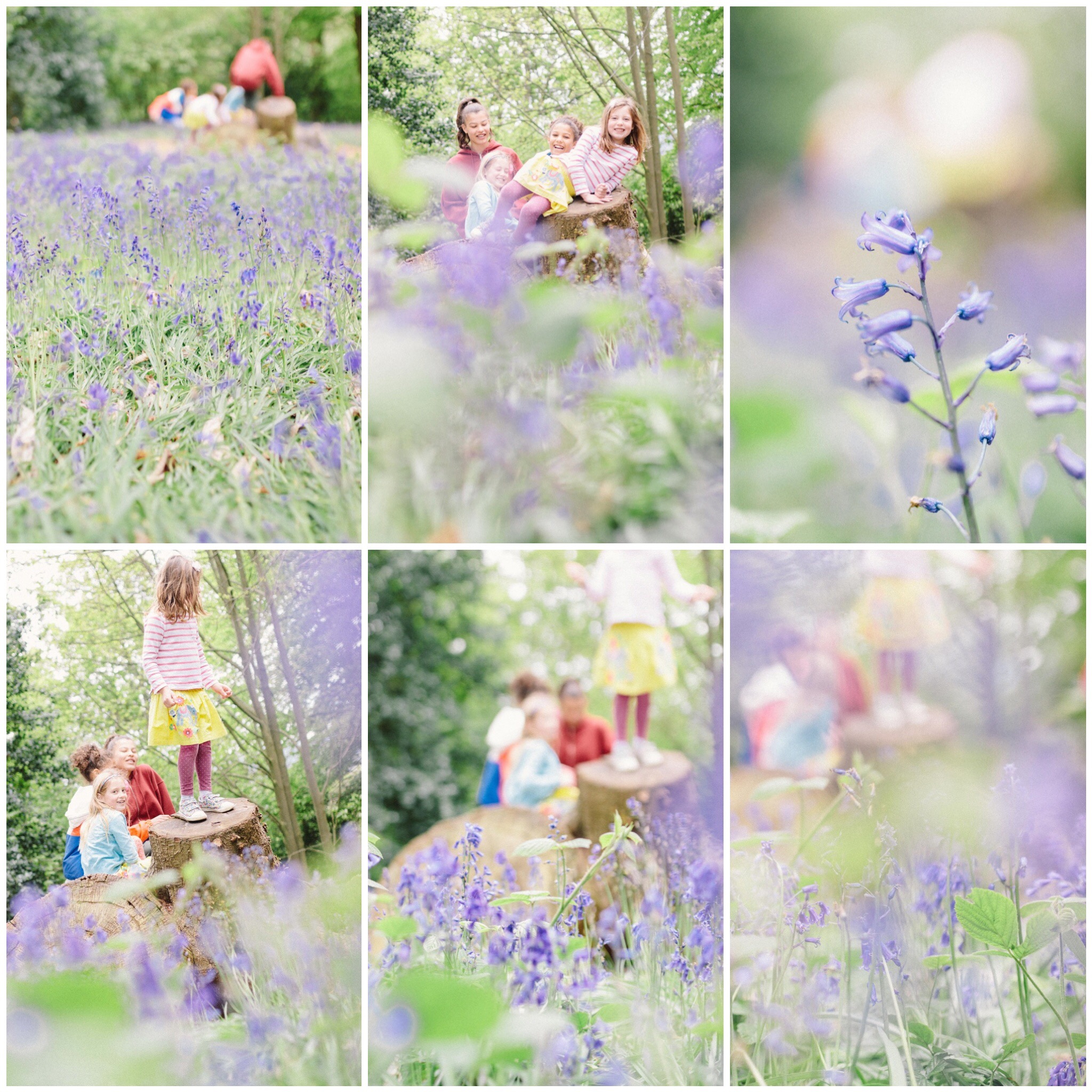 london family photographer bluebell shoot greenwich lavender.JPG