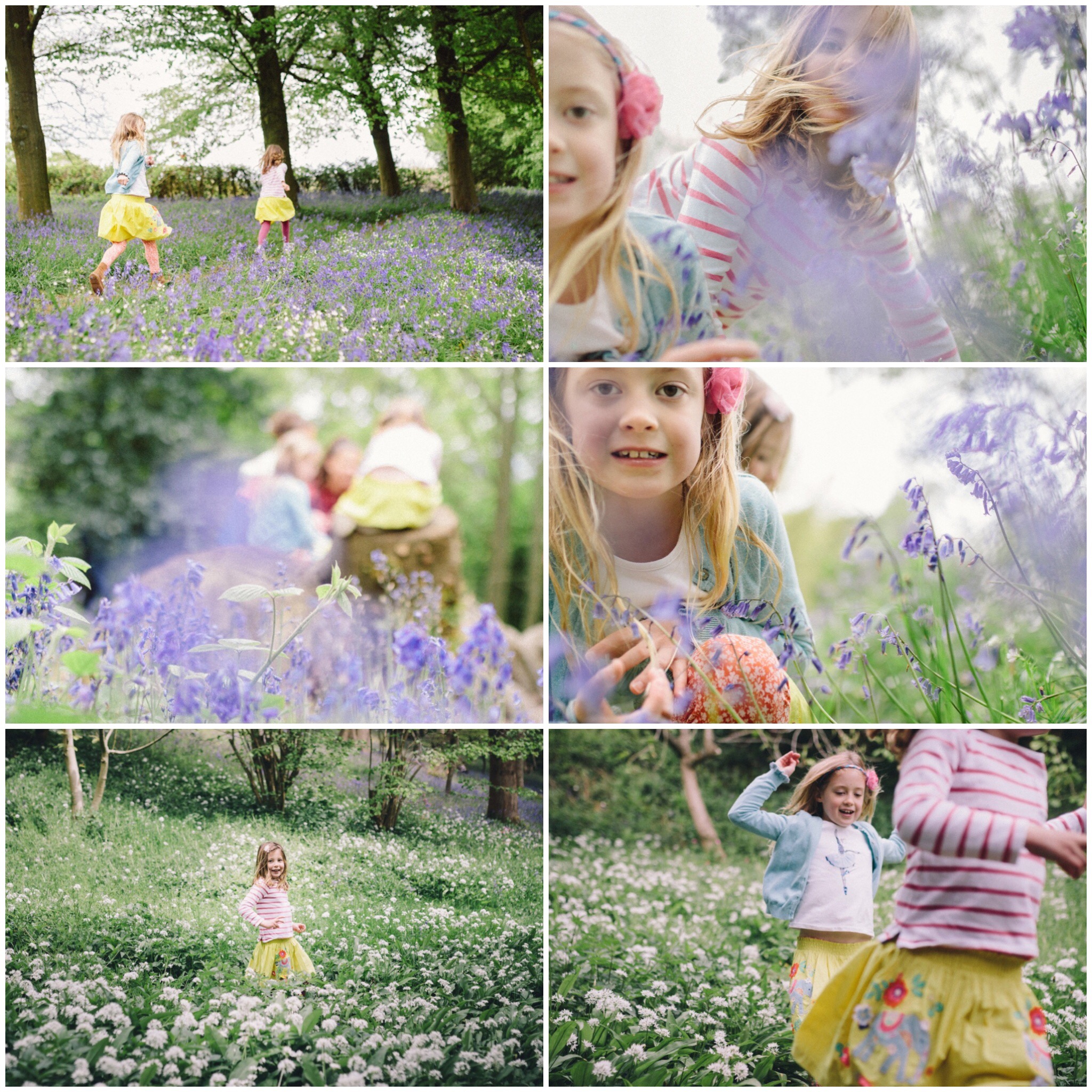 london family photographer greenwich bluebell shoot lavender.JPG