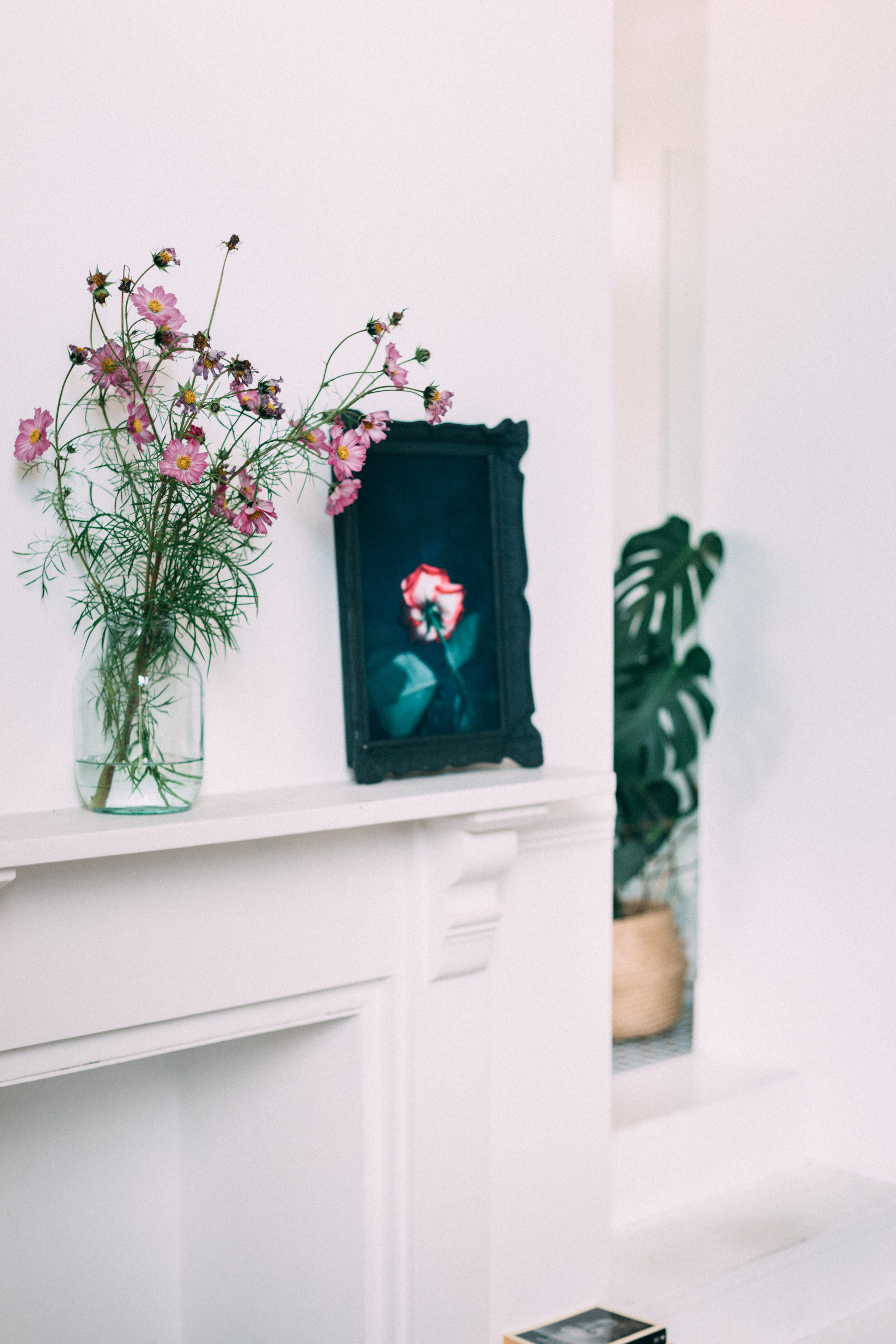 portrait of a rose marketing-4183.jpg
