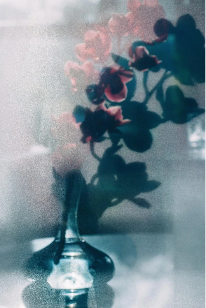 low res orchid.jpg