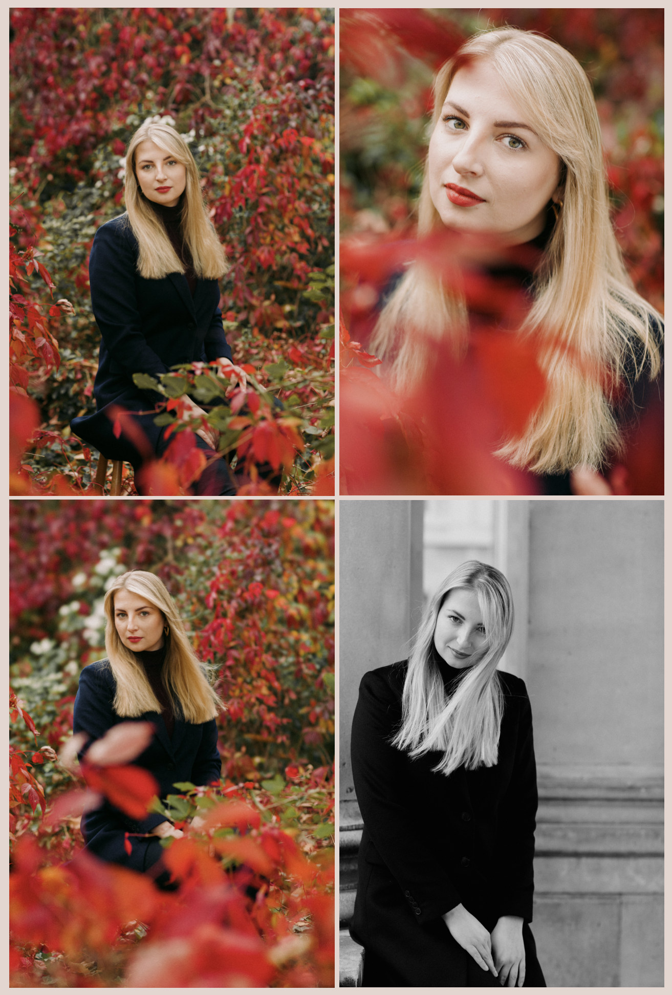 greenwich portrait photographer linkedin alexandra dao.png