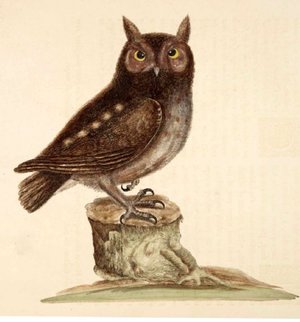 Short Summer Camp Three, July 20-24, East Boulder (Ages 2 1/2-6)