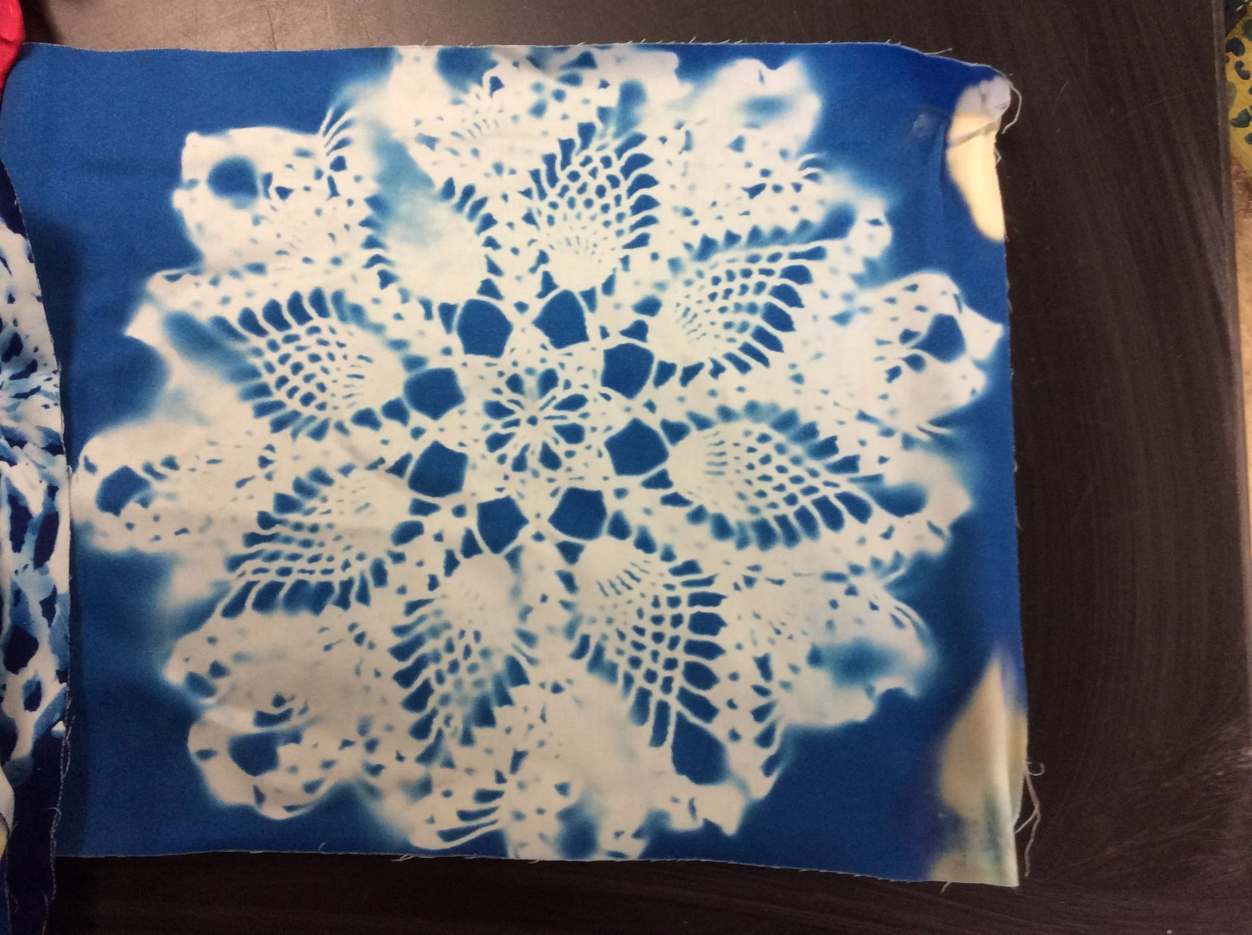 Sunprints and Cyanotypes