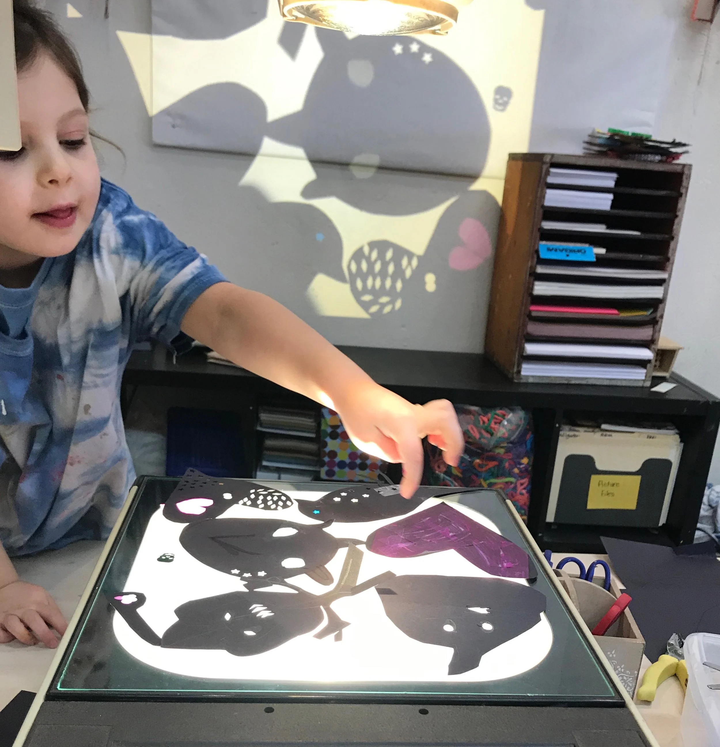 Light Play and Shadow Puppets