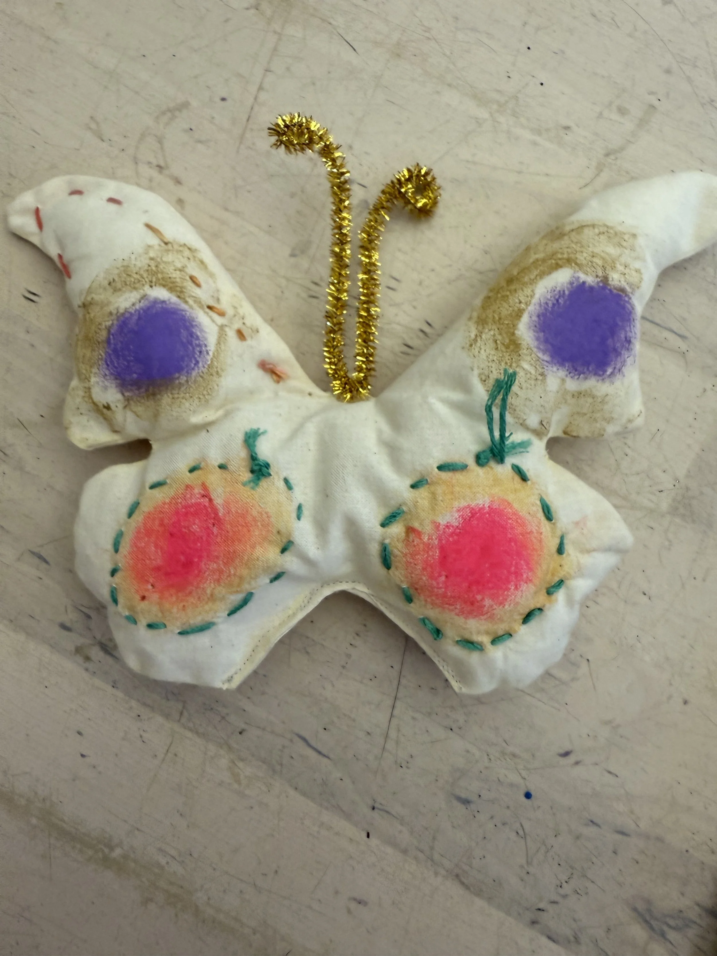 Butterfly Pillow, School Holiday Camp