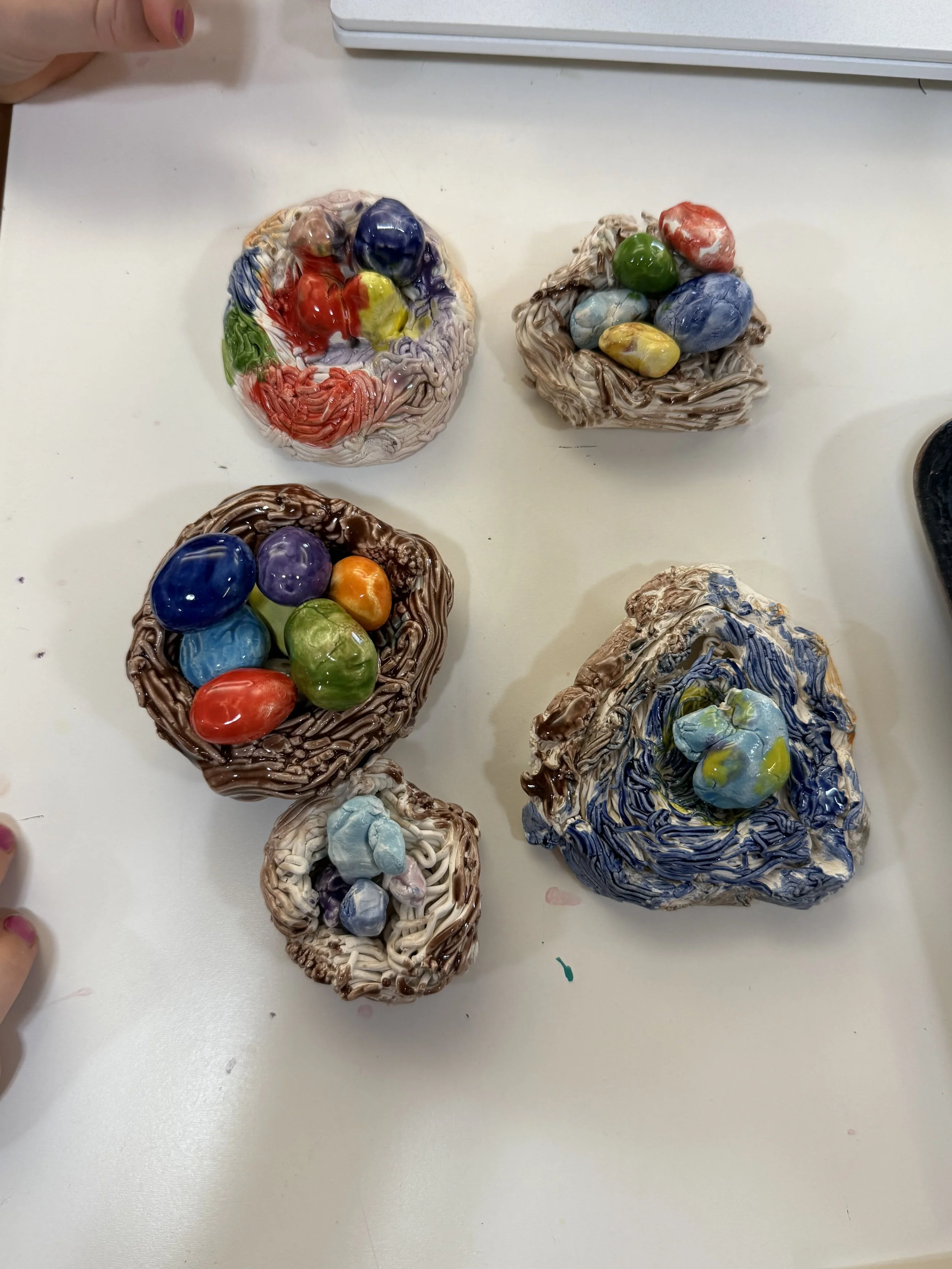 Ceramics Project- Bird's Nest 6+
The base price for this project is $425.