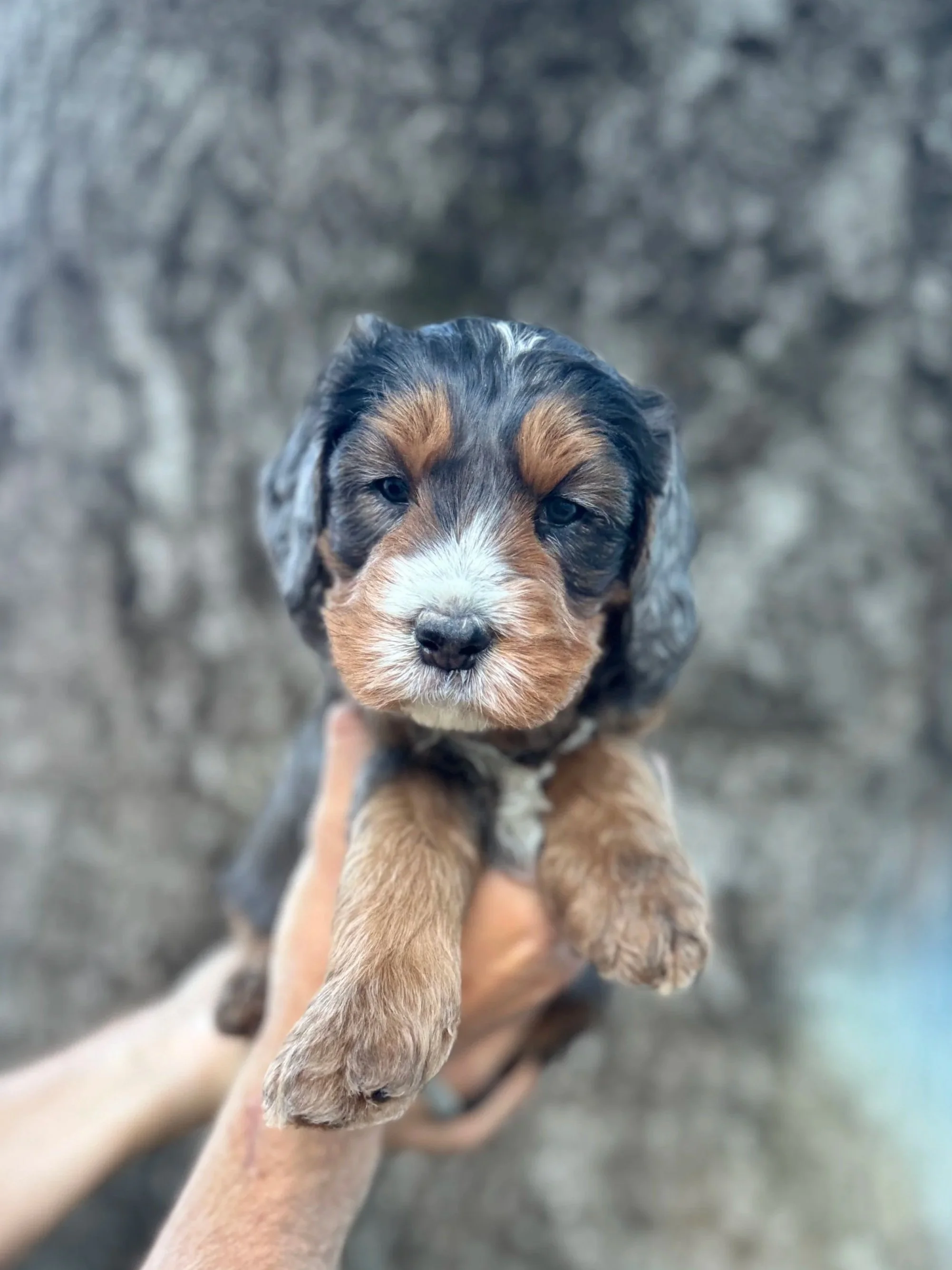 Green Collar Male