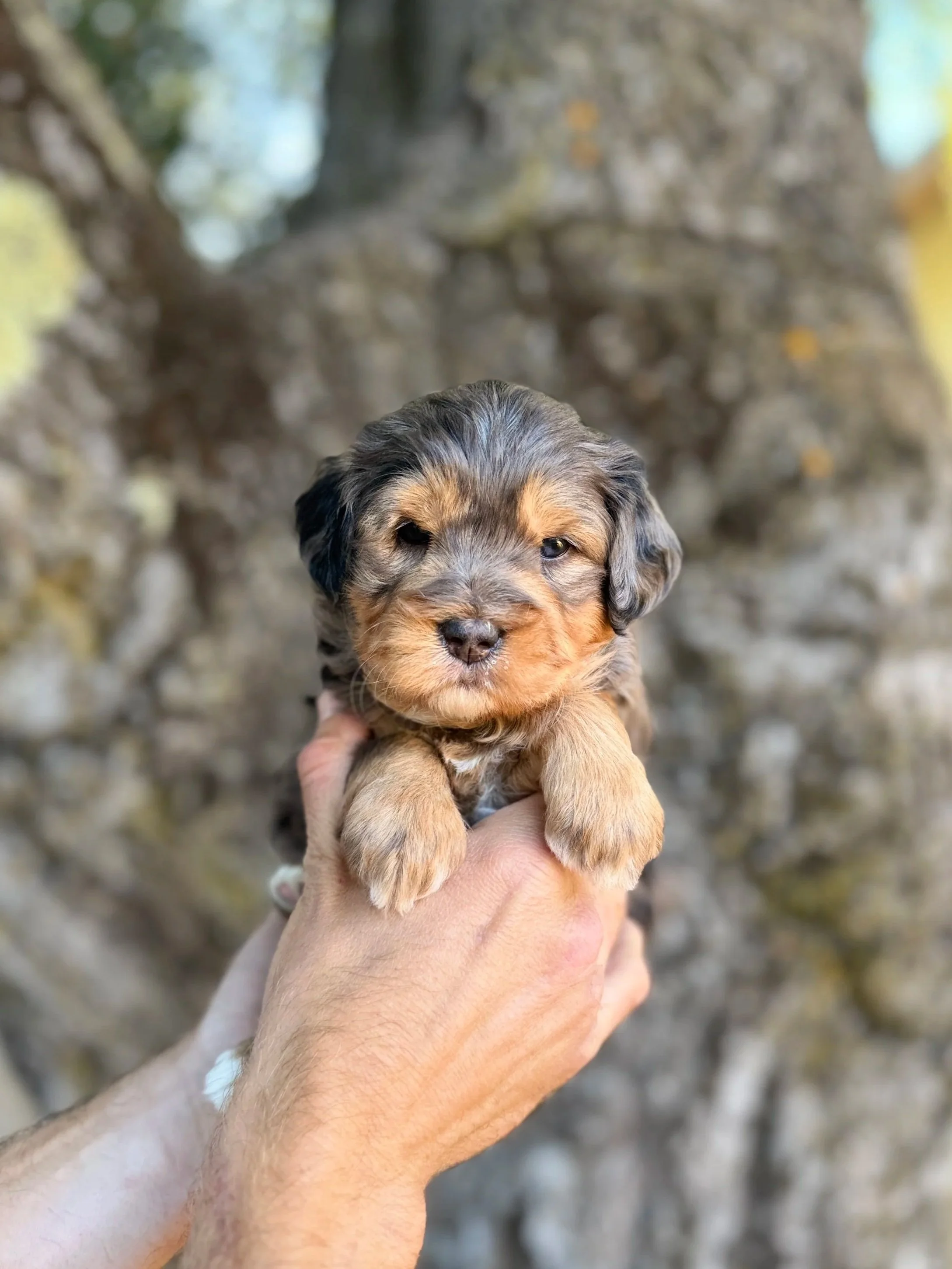 Green Collar Female