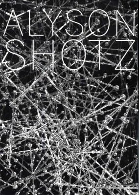 alyson-shotz-phase-shift.jpg
