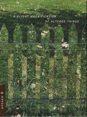 alyson-shotz-a-slight-magnification-of-altered-things.jpg