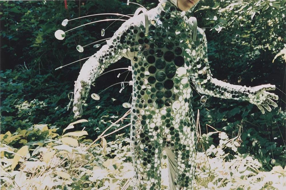Alyson Shotz. Reflective Mimicry