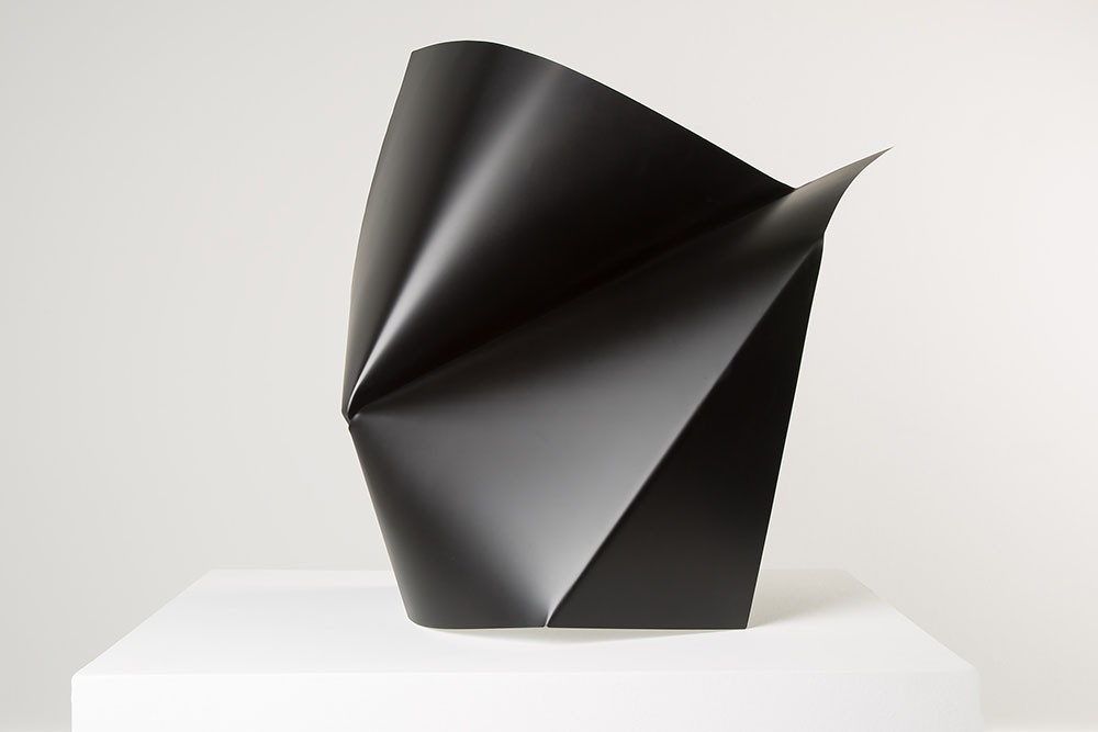 Alyson Shotz. Black Folds (1)