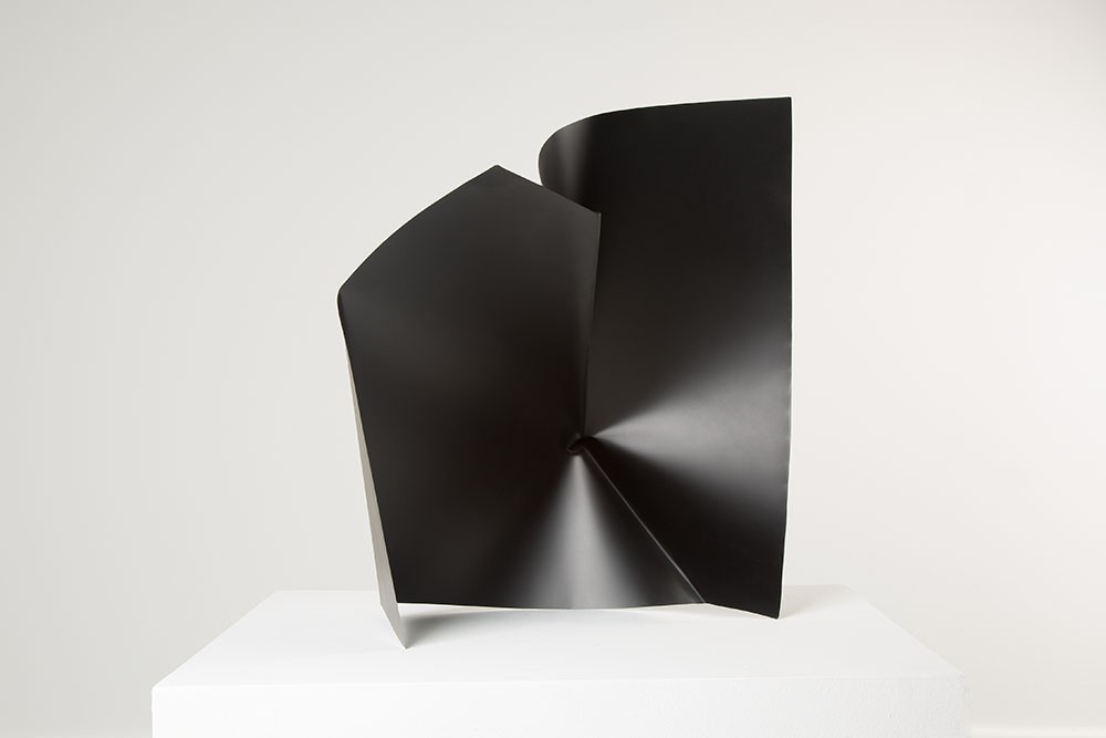 Alyson Shotz. Black Folds