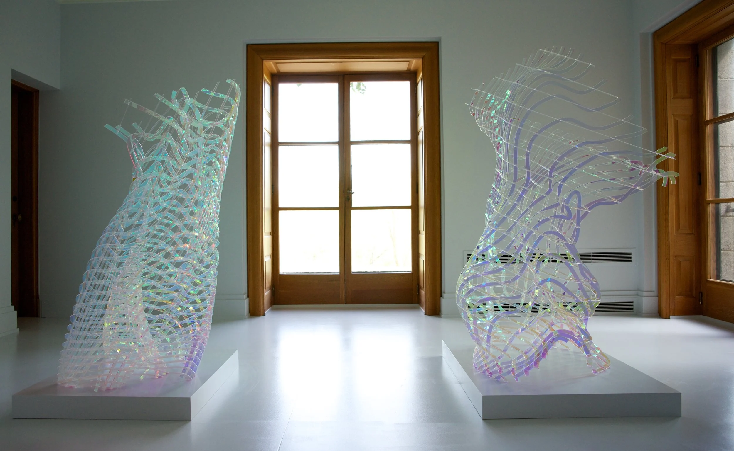 Shotz-TransitionalObject3.jpg