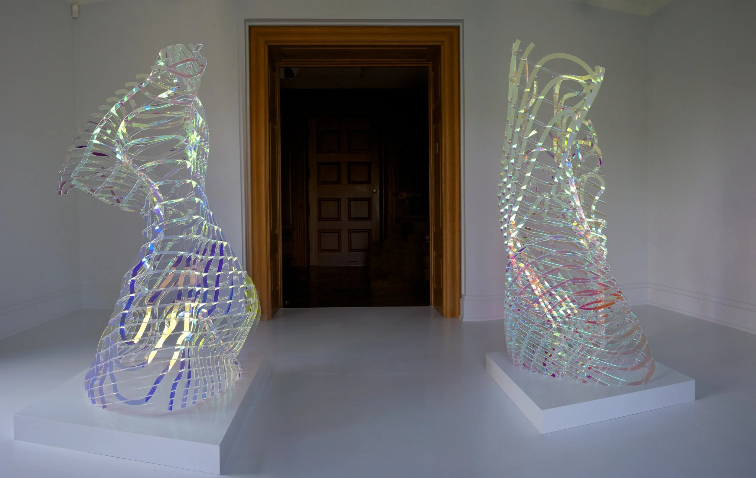 Shotz-TransitionalObject1.jpg