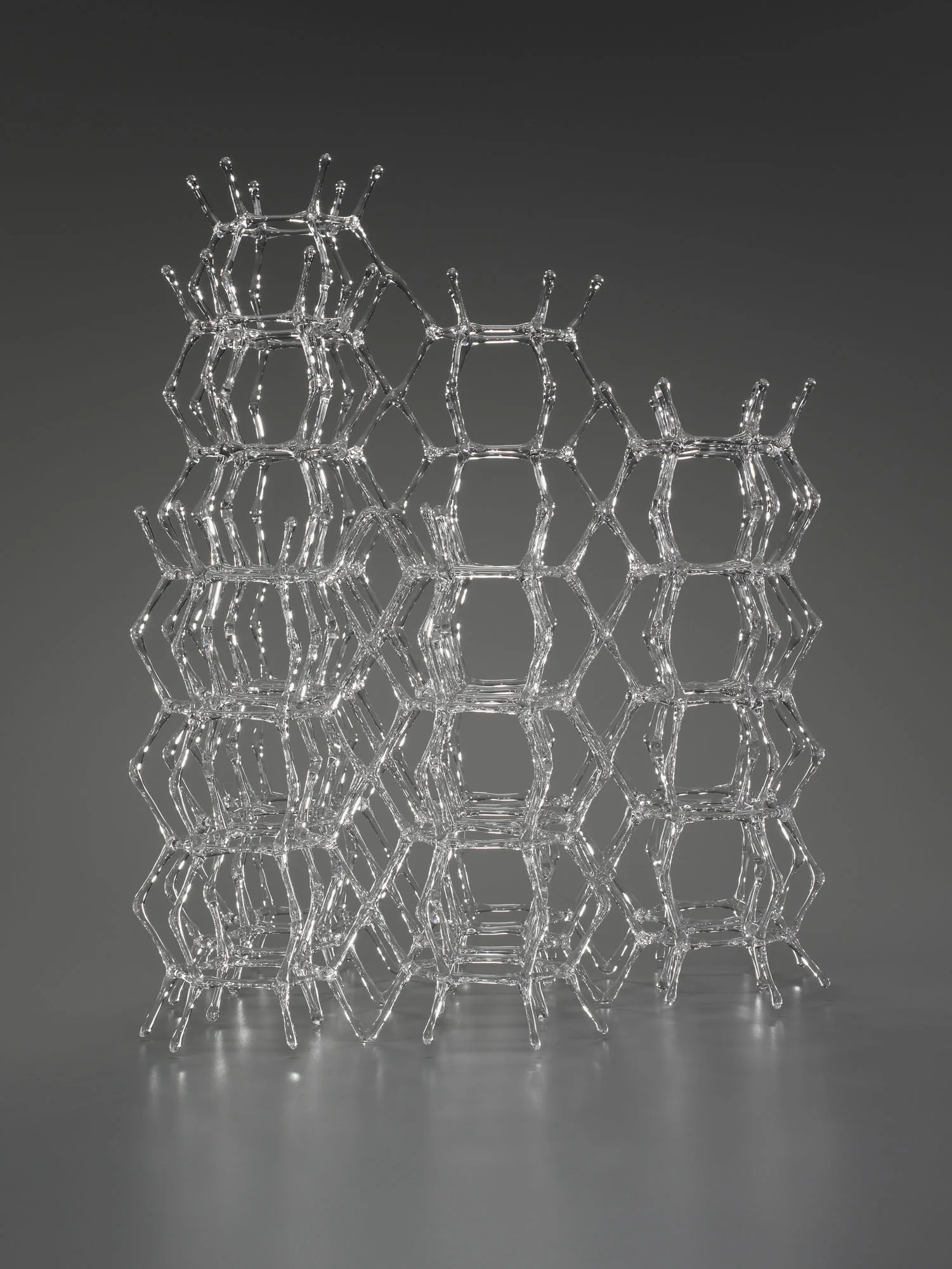 Branching Study