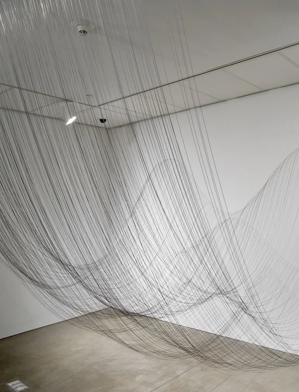 Line and Shadow