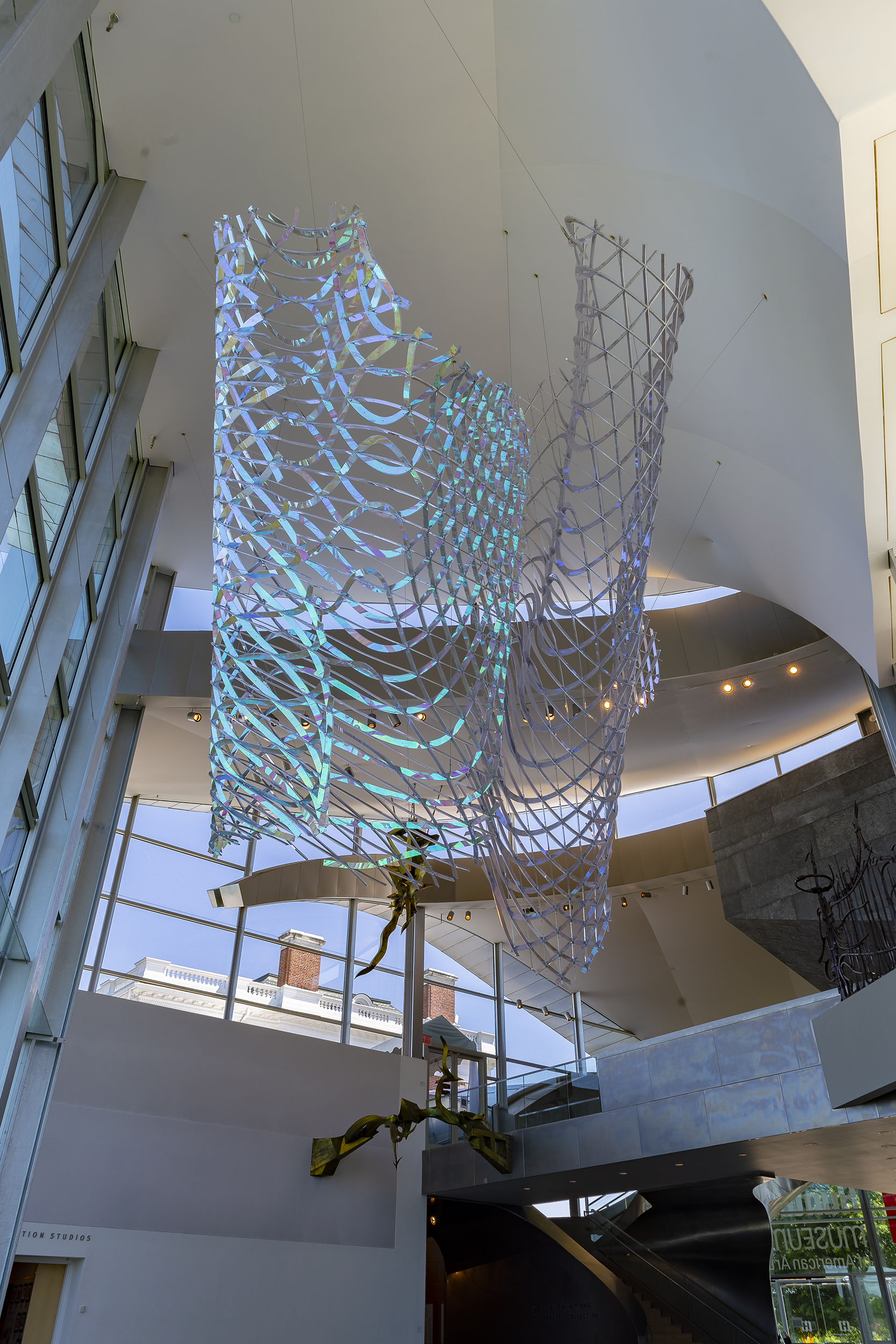 Alyson Shotz: All Equations Are Wave Equations