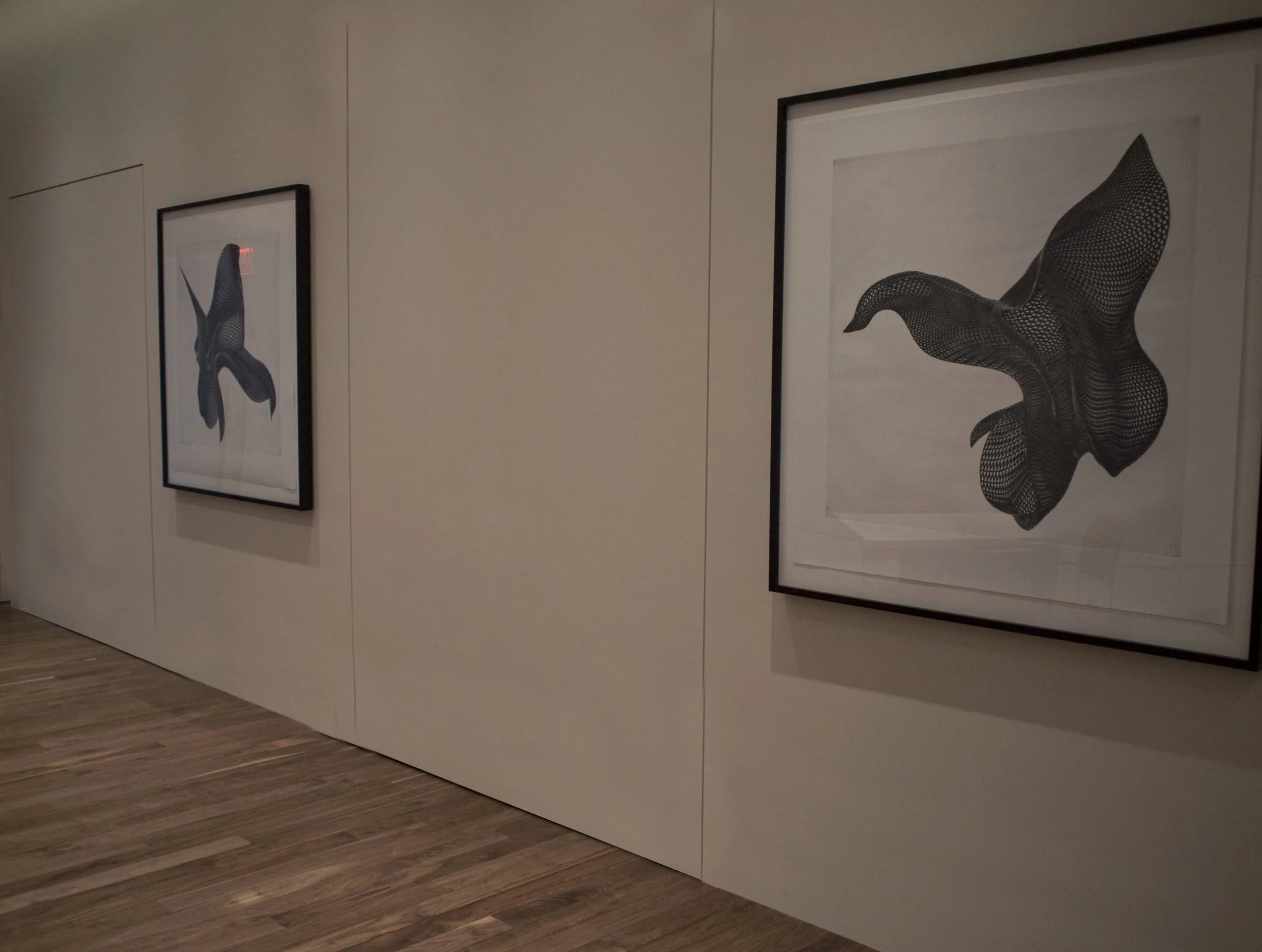 P1260421.JPG