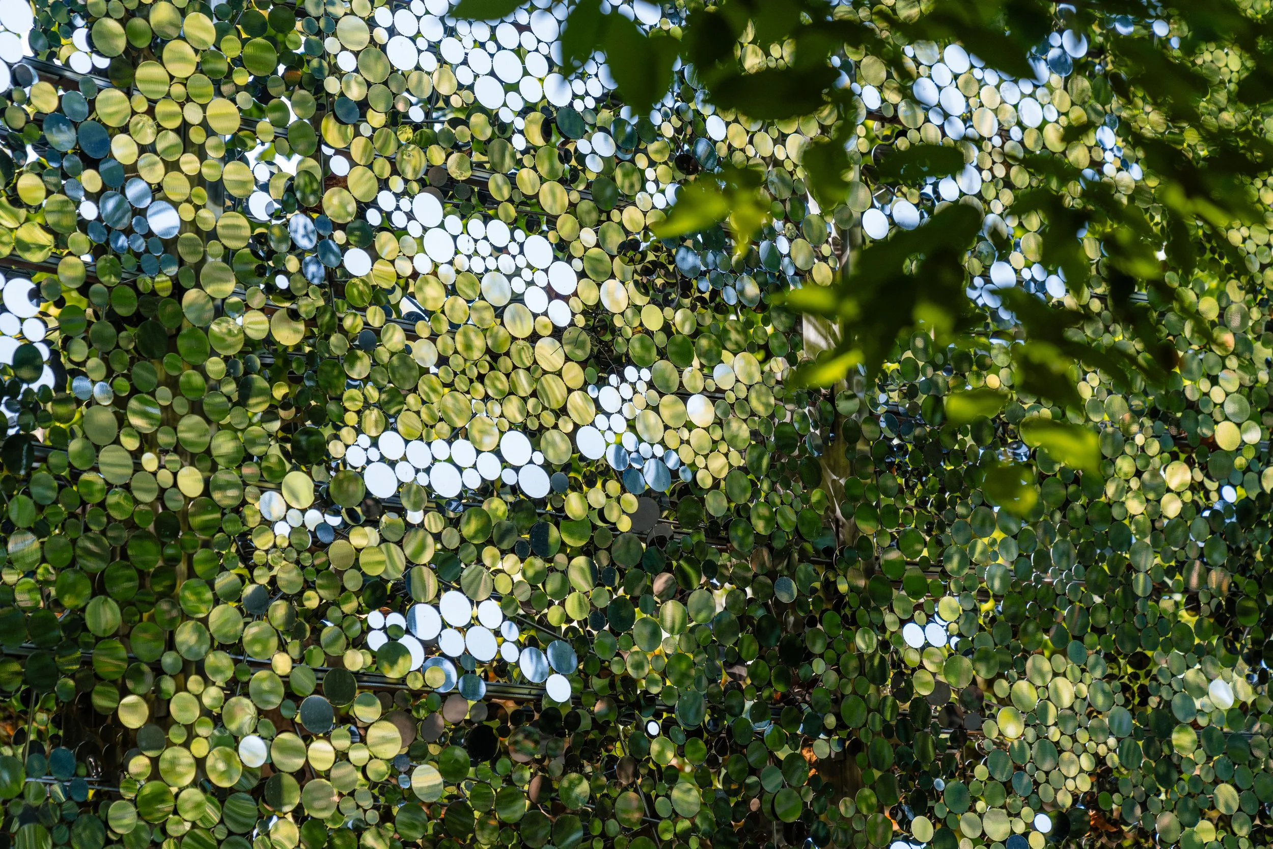 Scattering_Screen-06982.jpg