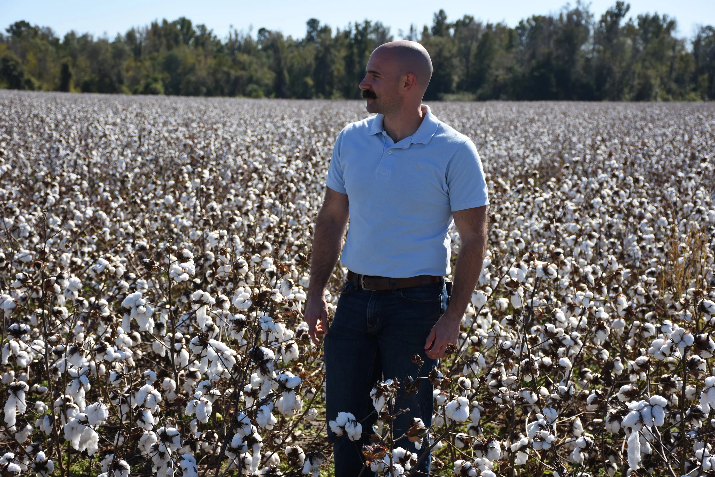 Cotton with a Conscience