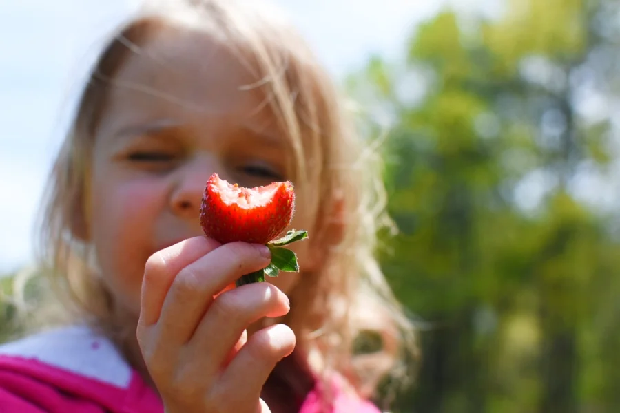 strawberries 4.jpg